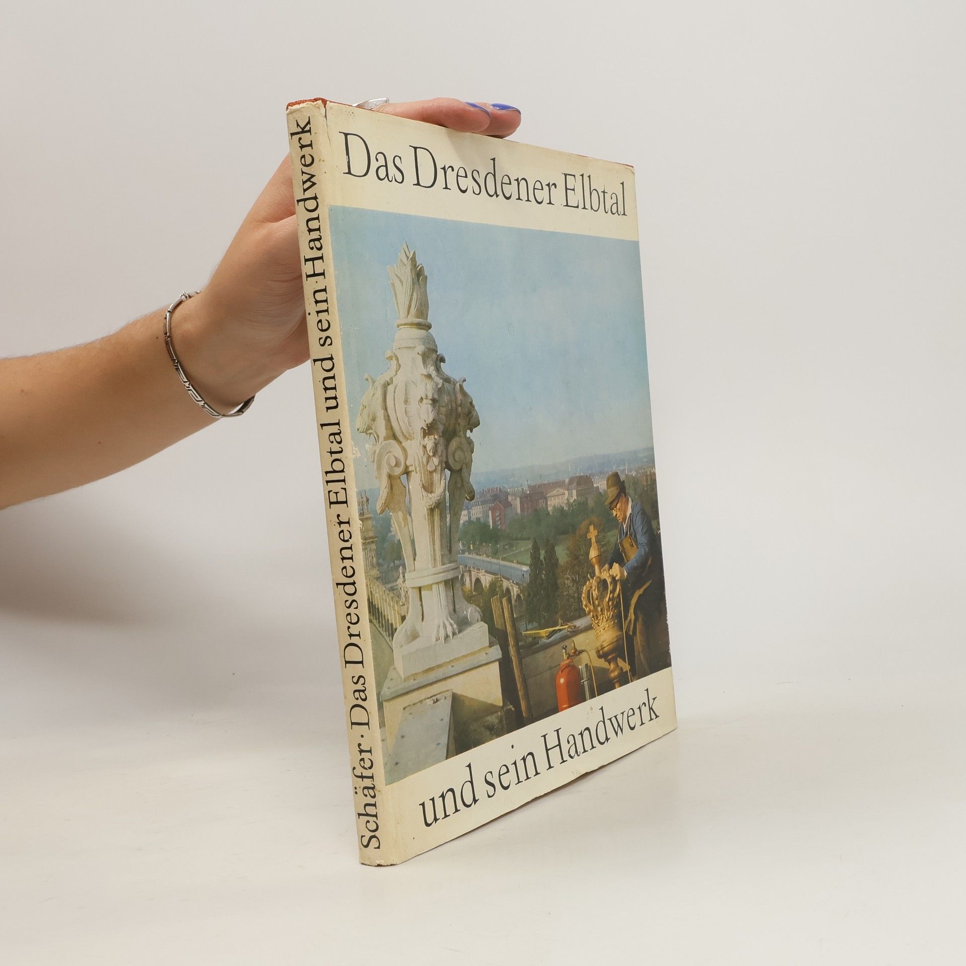 Ernst Schäfer Das Dresdener Elbtal und sein Handwerk