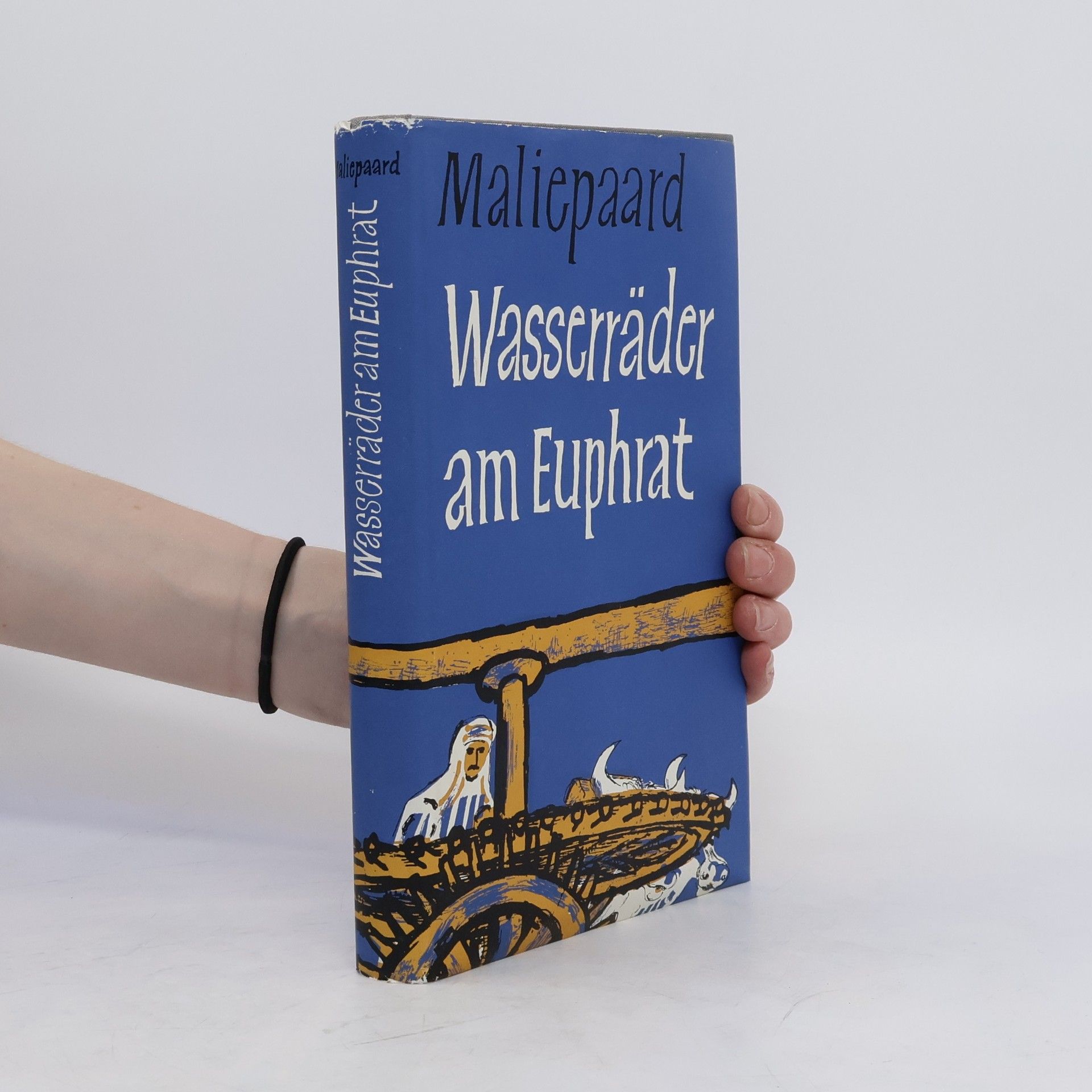 Wasserräder am Euphrat