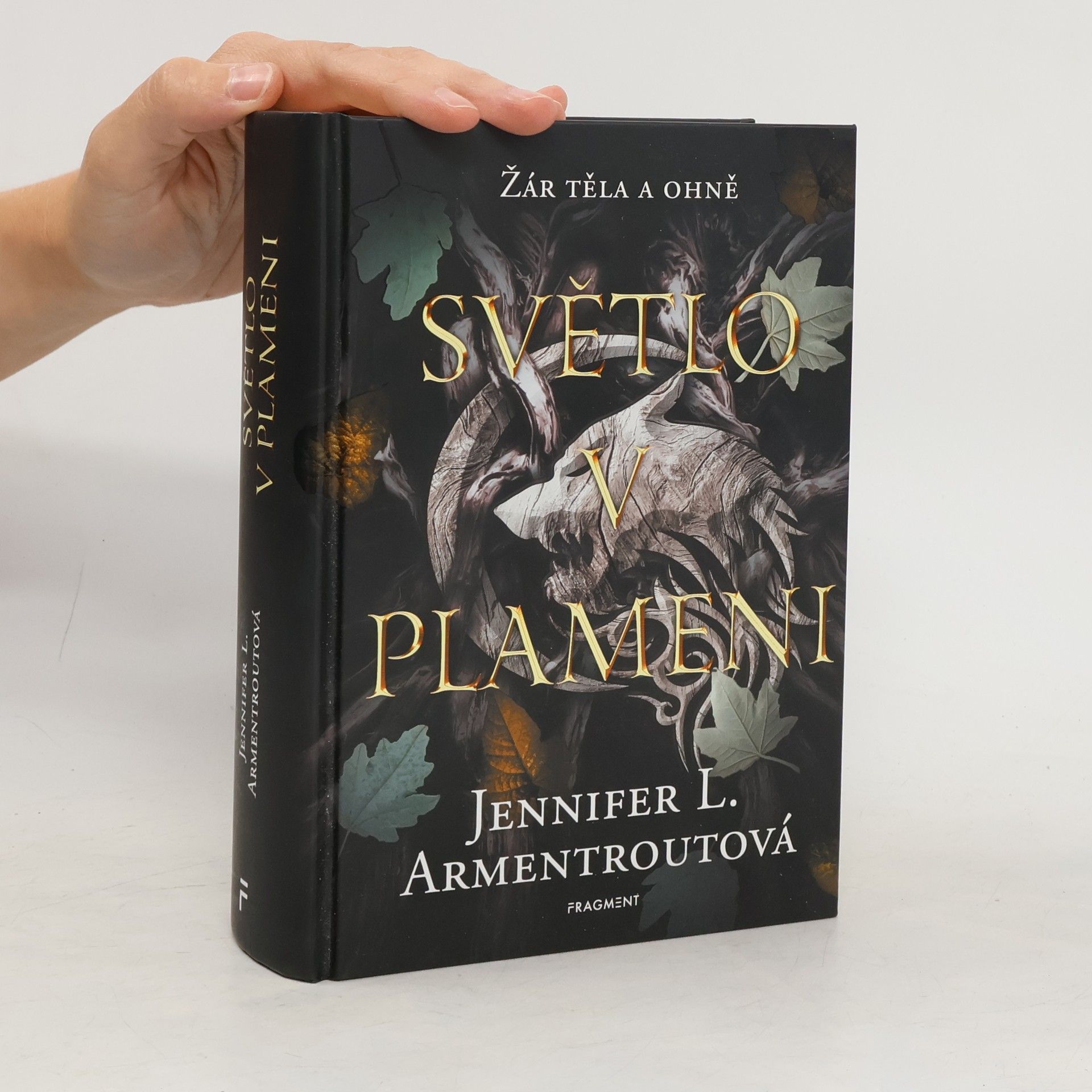 Kateřina Hejnová Světlo v plameni