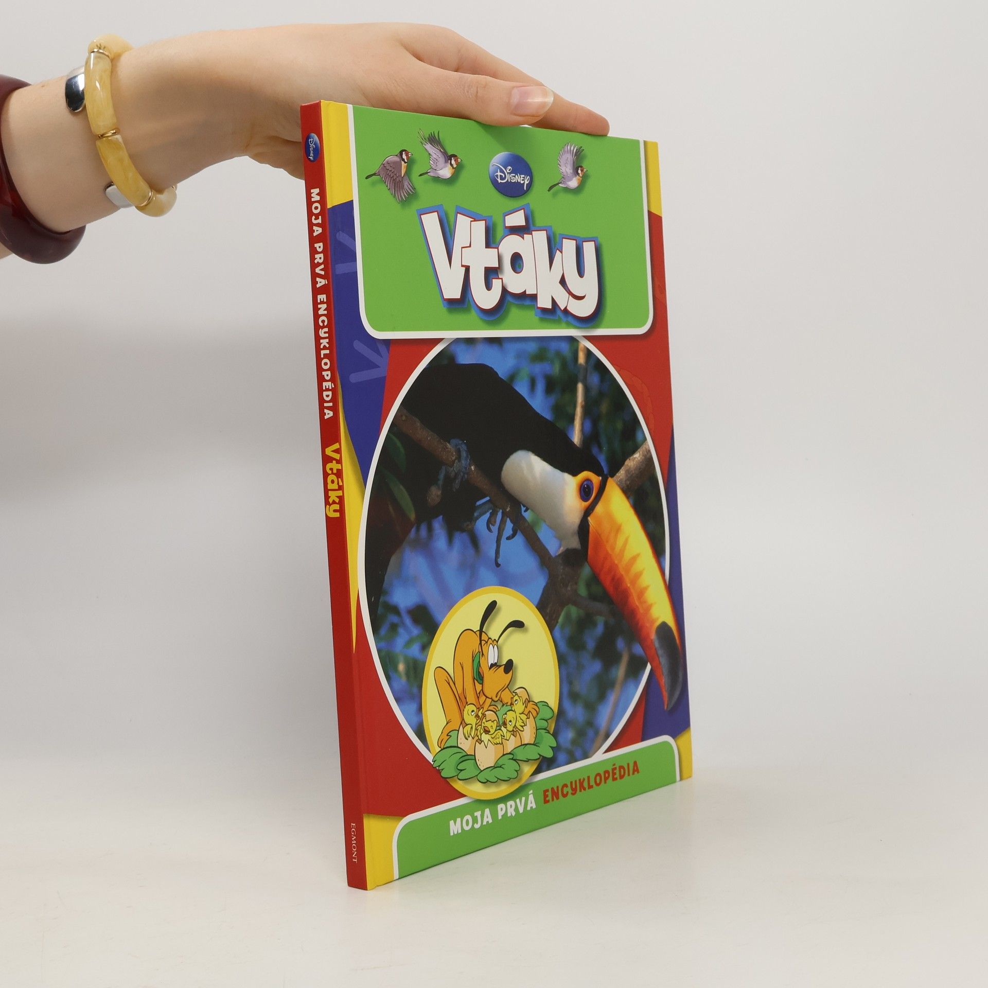 Walt Disney Moja prvá encyklopédia - Vtáky