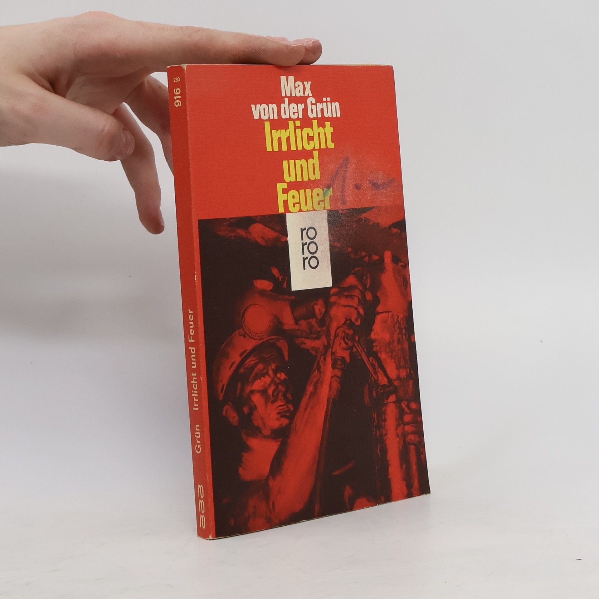 Max von der Grün Irrlicht und Feuer
