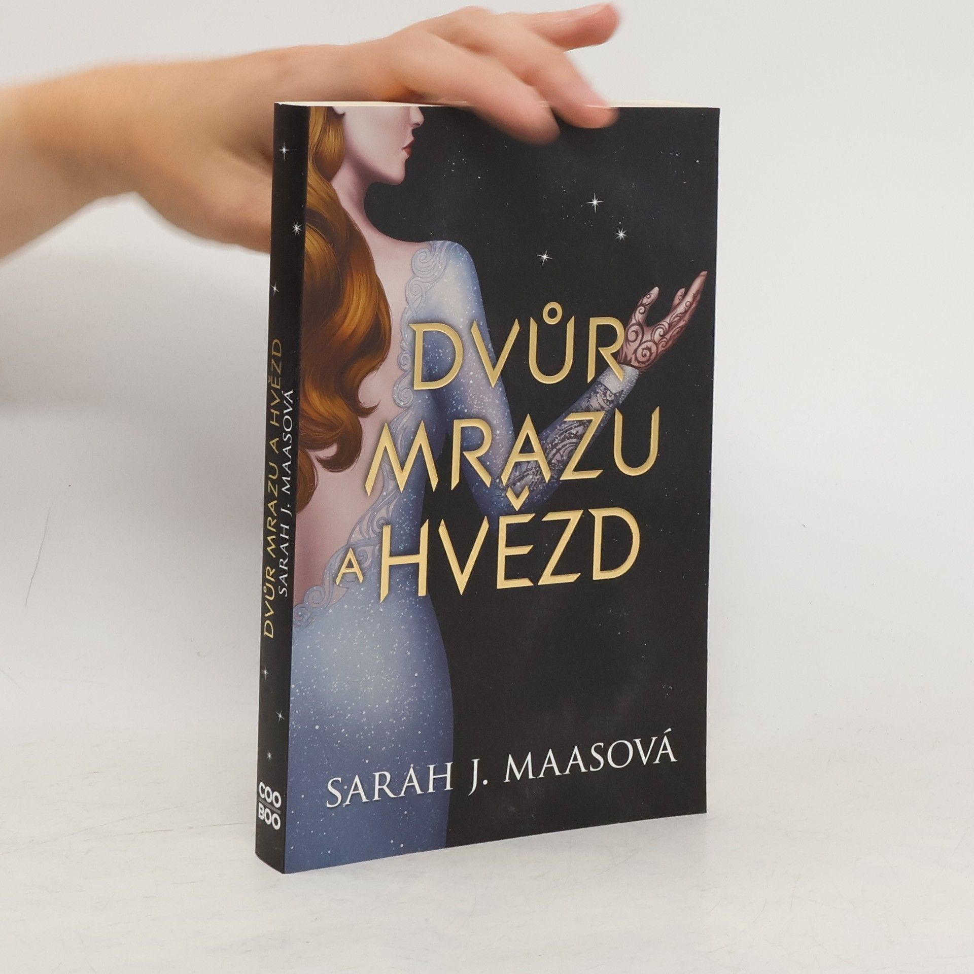 Sarah J. Maas Dvůr mrazu a hvězd