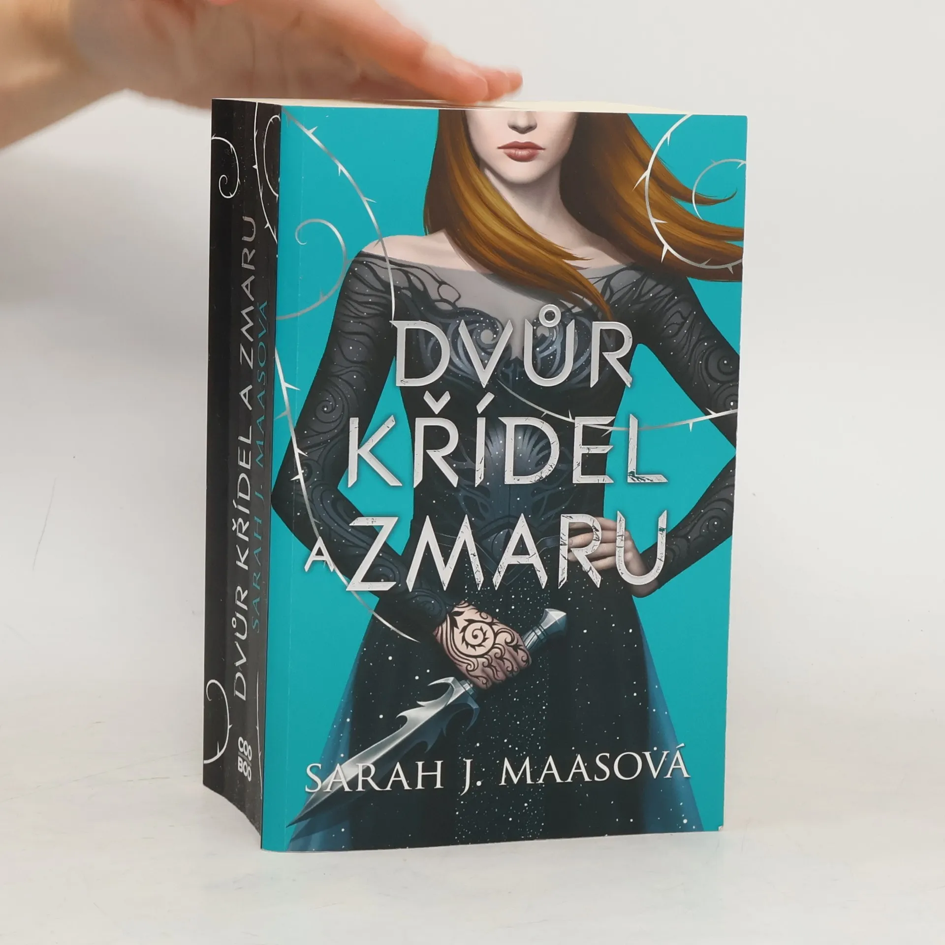 Dvůr křídel a zmaru | Book | Sarah J. Maas | CS