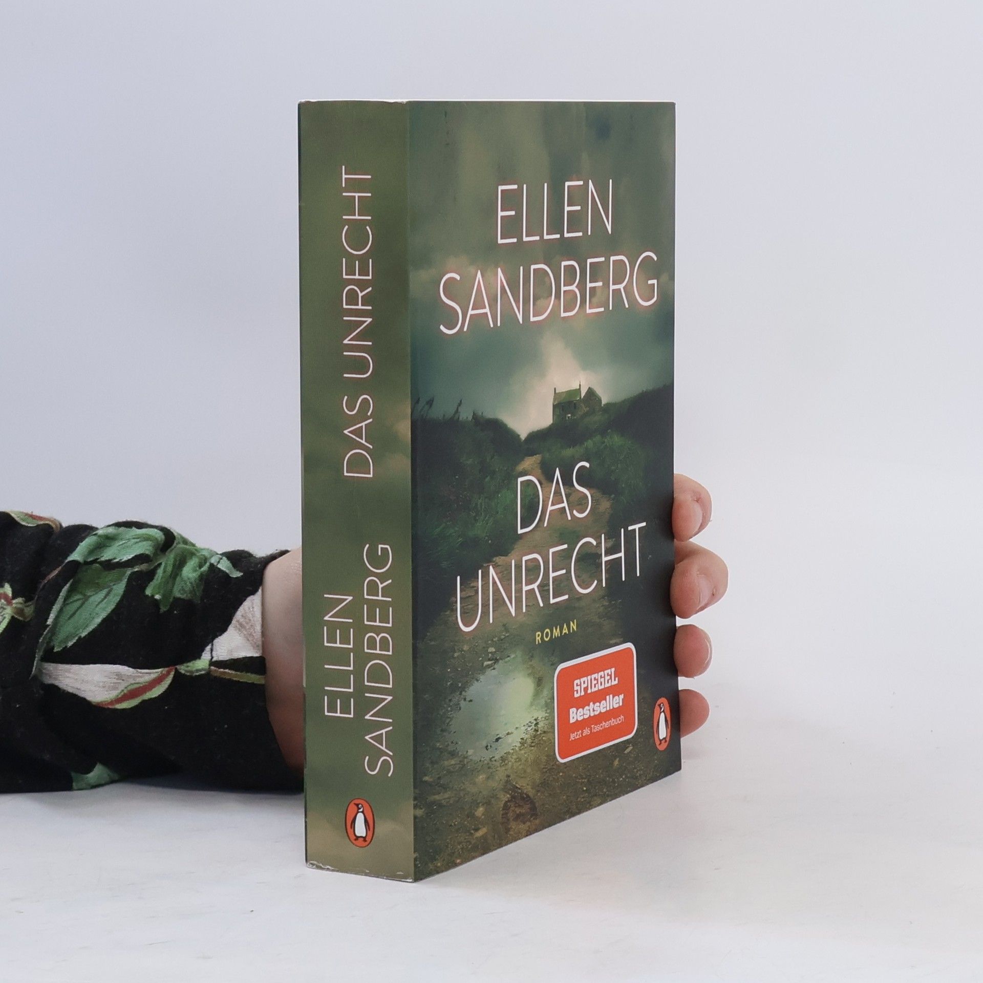Ellen Sandberg Das Unrecht