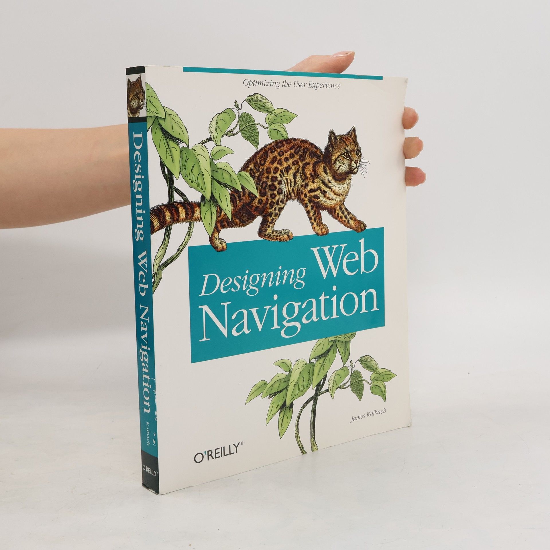 James Kalbach Designing web navigation