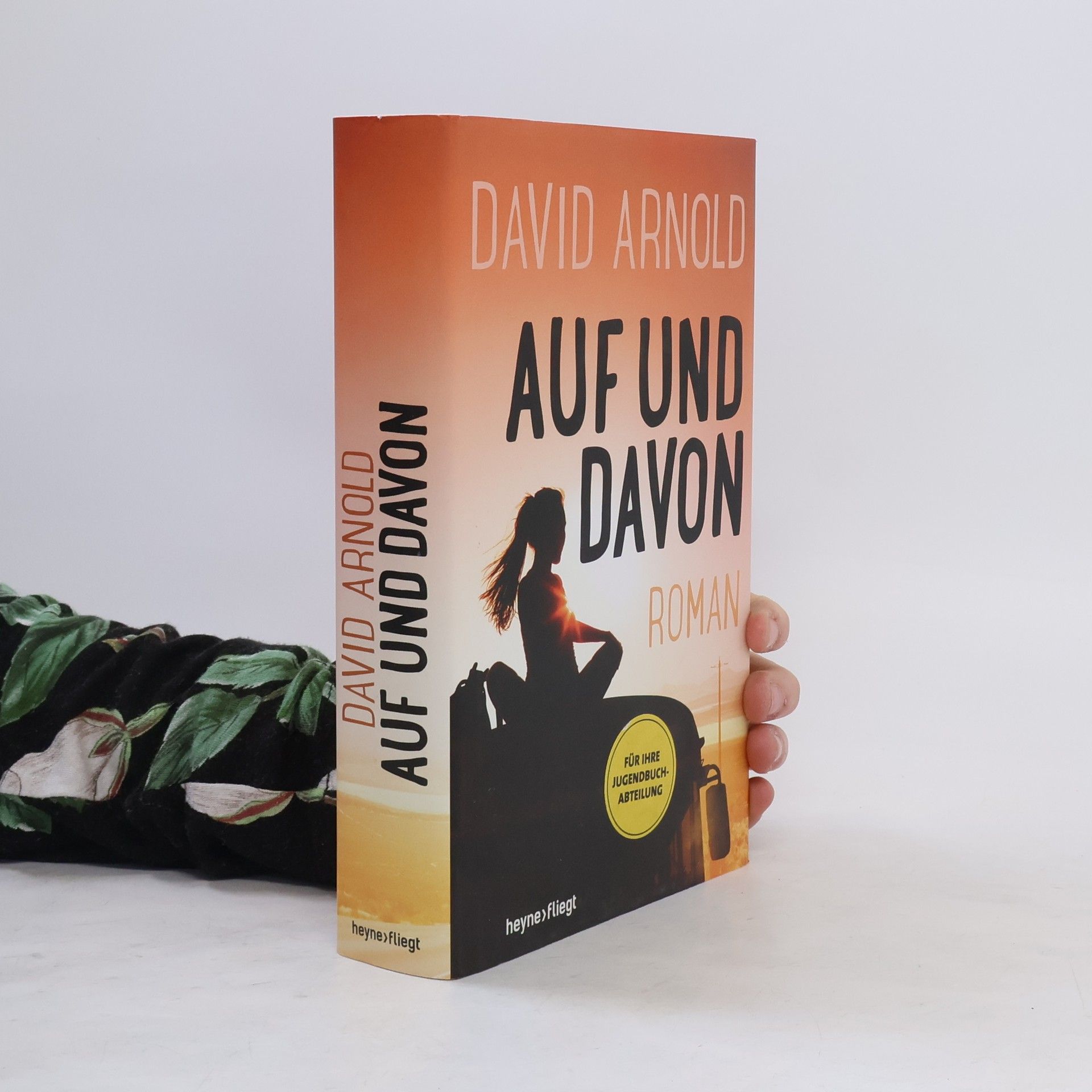 Arnold Dávid Auf und davon