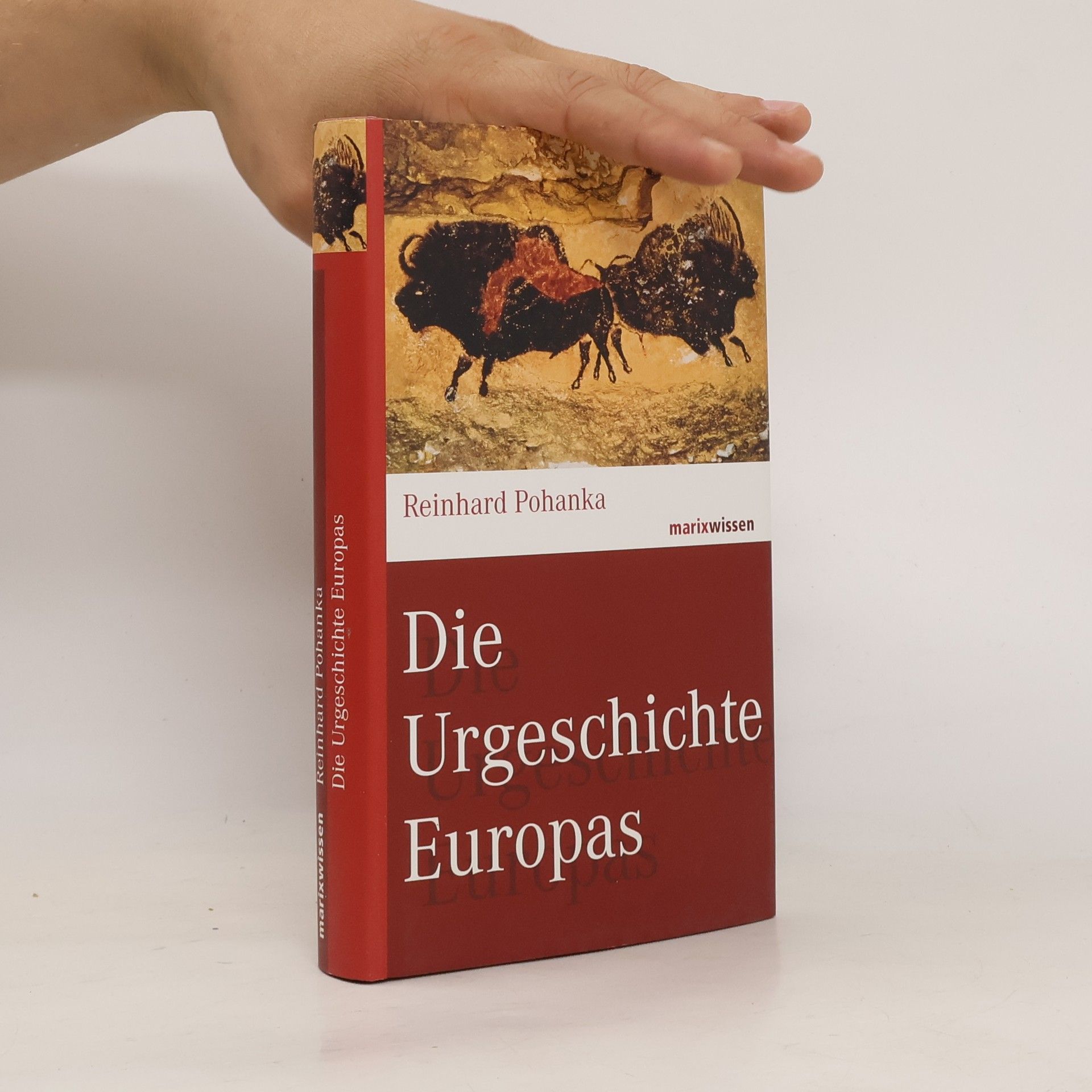 Reinhard Pohanka Die Urgeschichte Europas