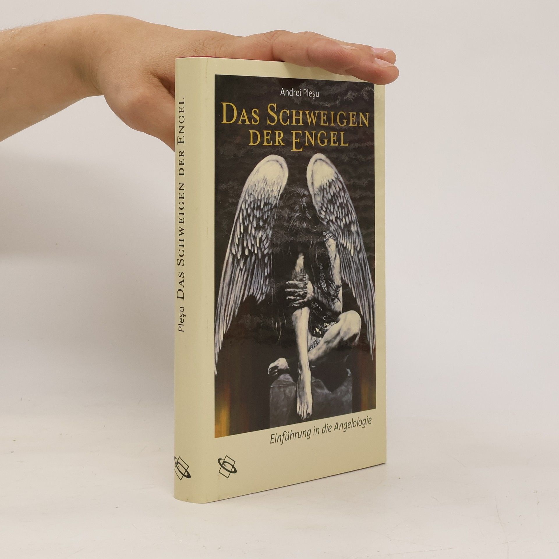 Andrei Pleșu Das Schweigen der Engel