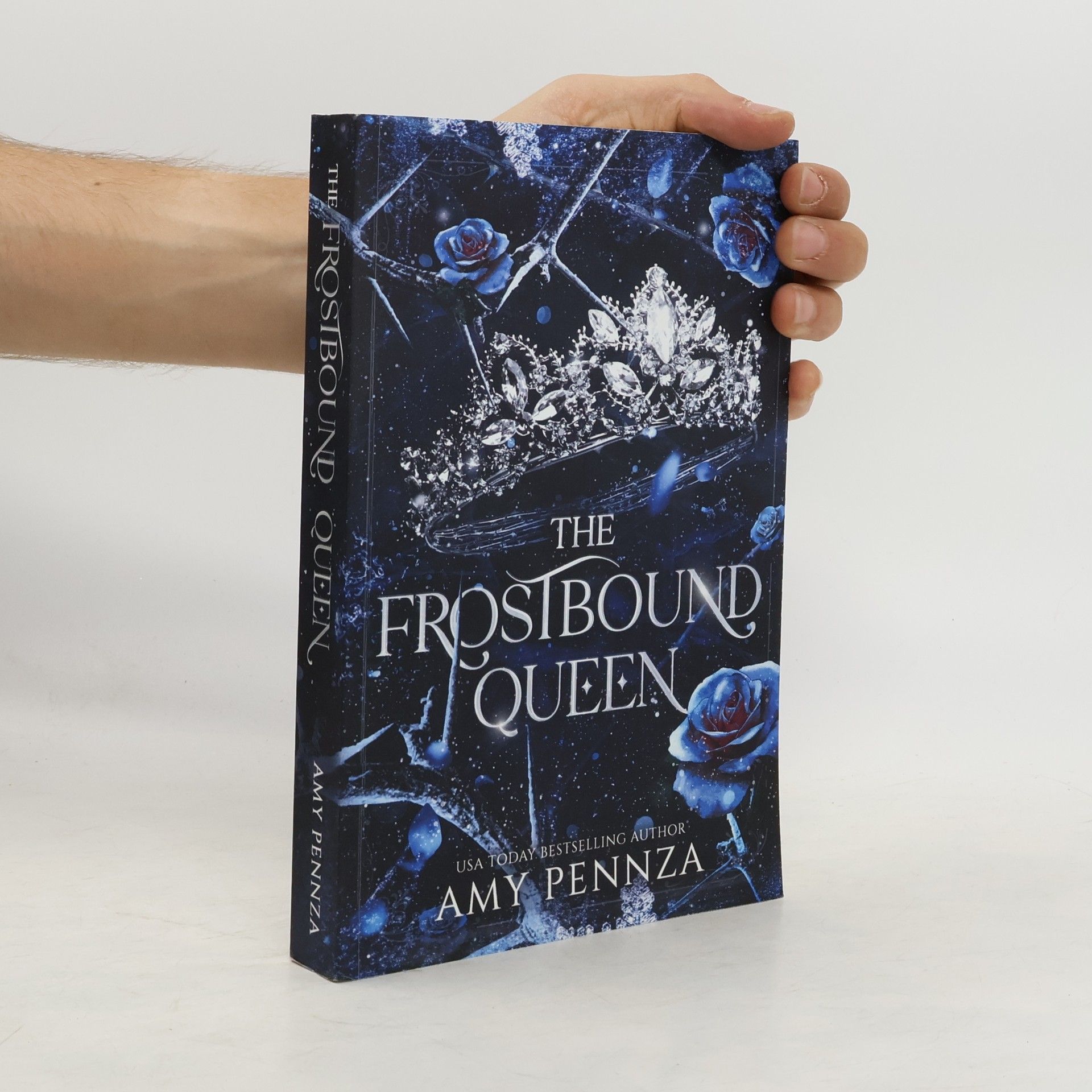 Amy Pennza The Frostbound Queen