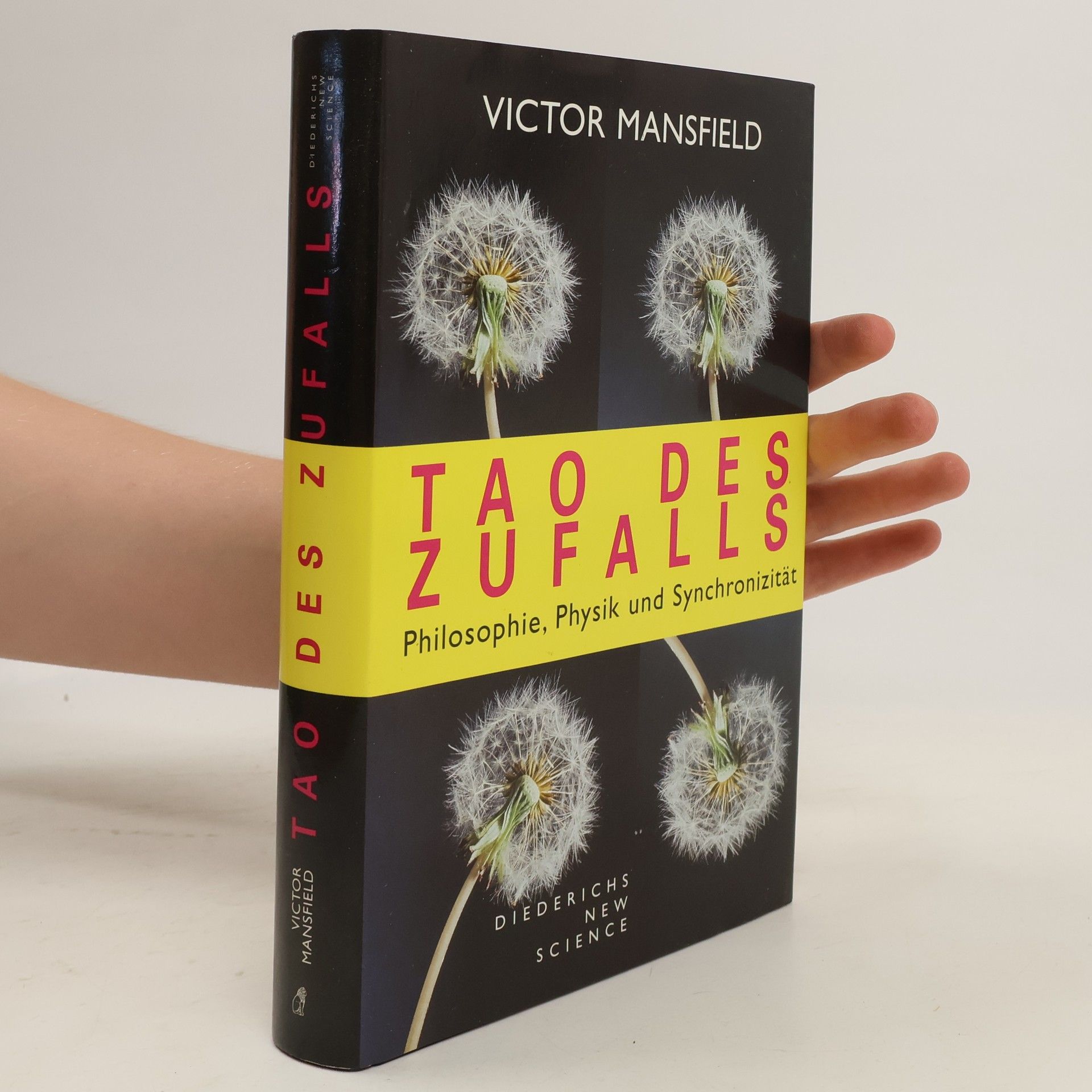 Victor Mansfield Tao des Zufalls