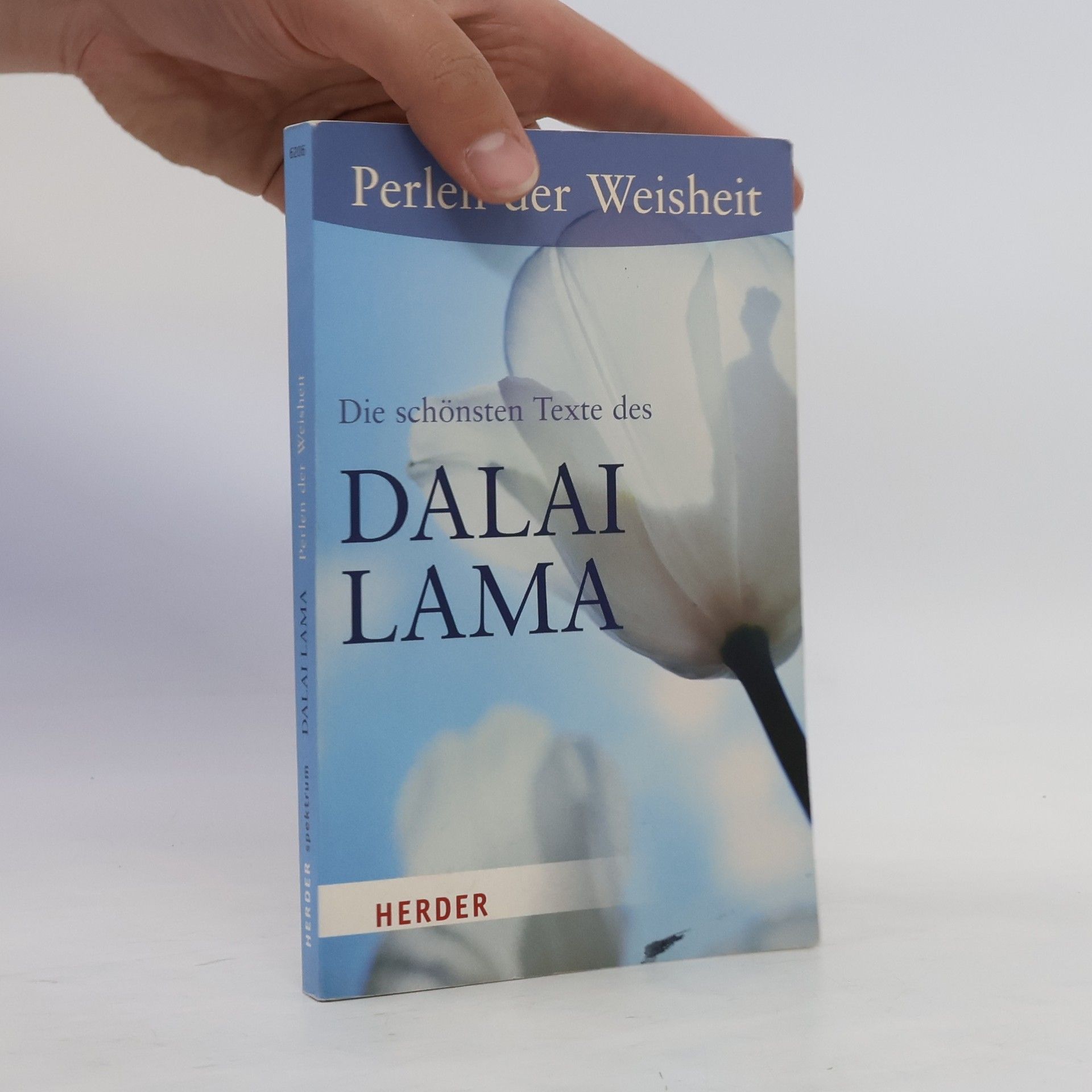 Dalai Lama XIV Bstan-ʼdzin-rgya-mtsho Perlen der Weisheit. Die schönsten Texte des Dalai Lama