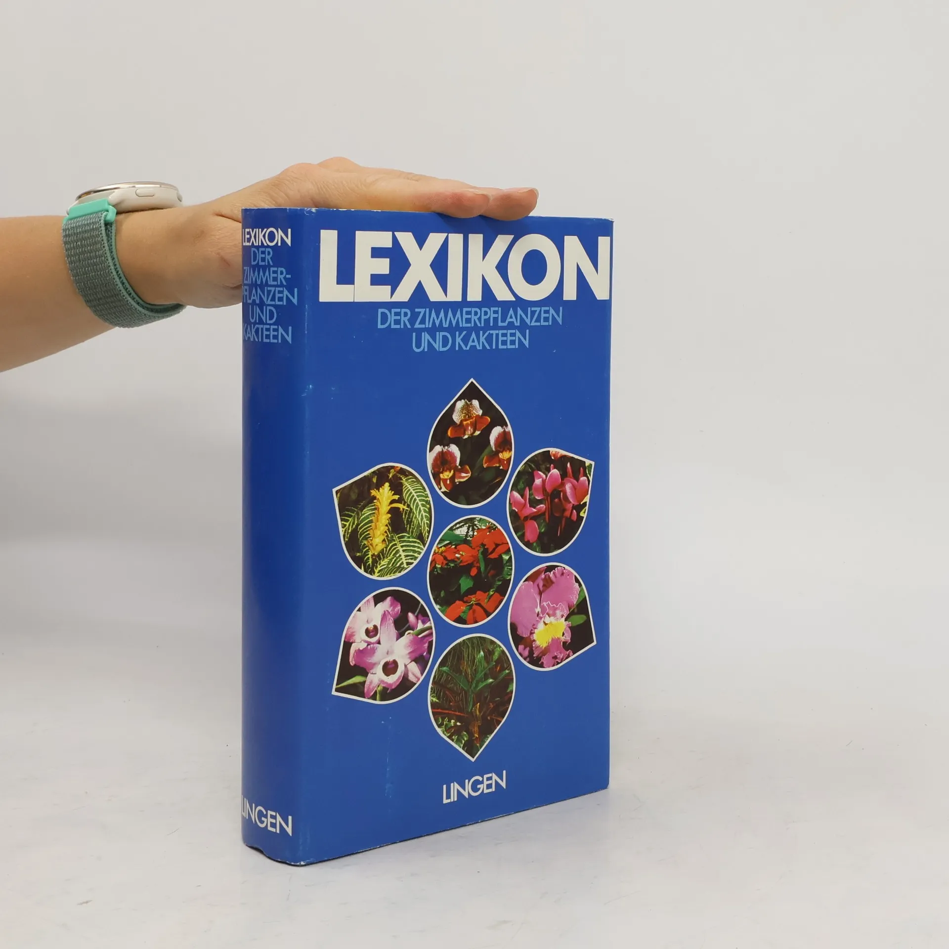 Lexikon. Der Zimmerpflanzen Und Kakteen | Buch | kolektiv