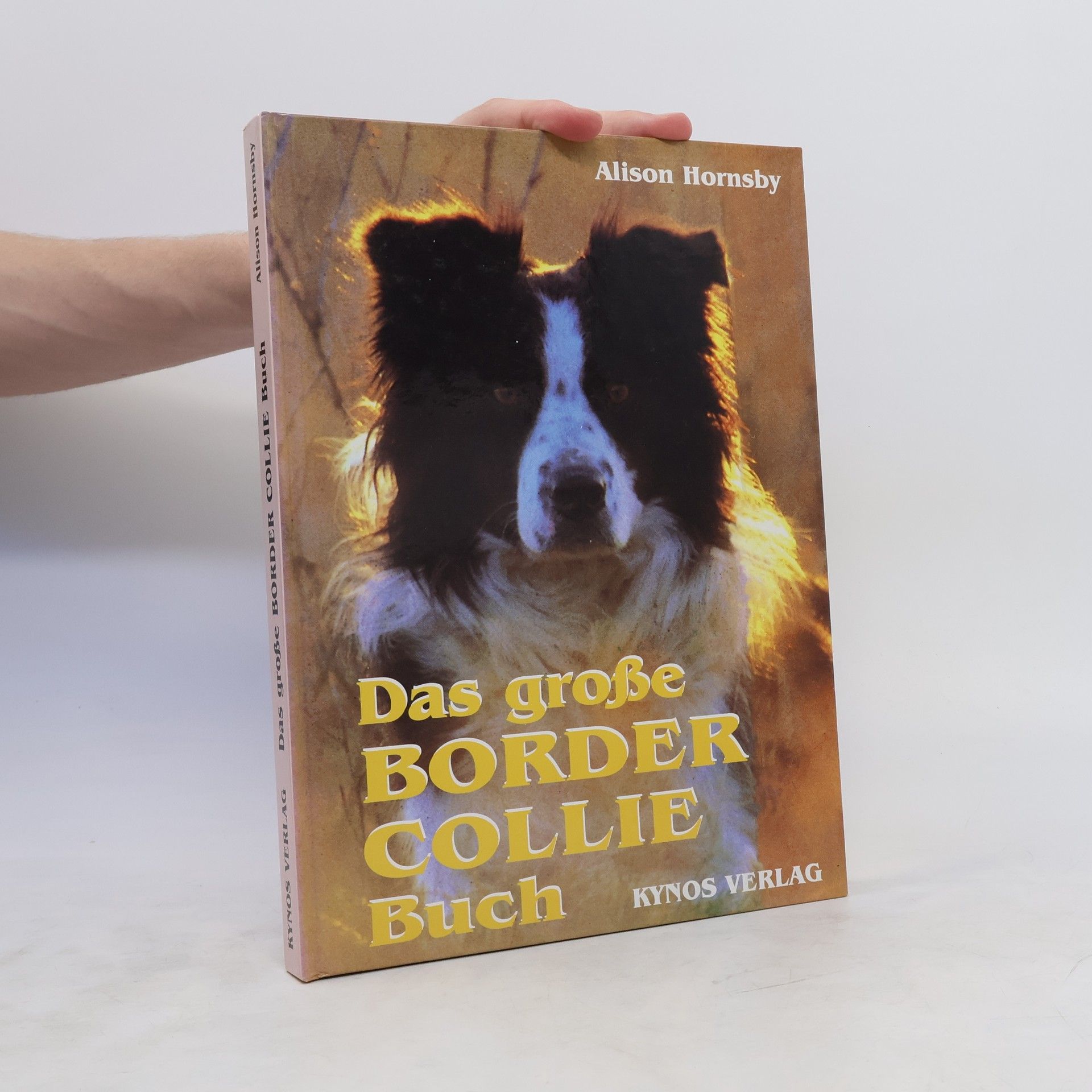 Alison Hornsby Das grosse Border-Collie-Buch