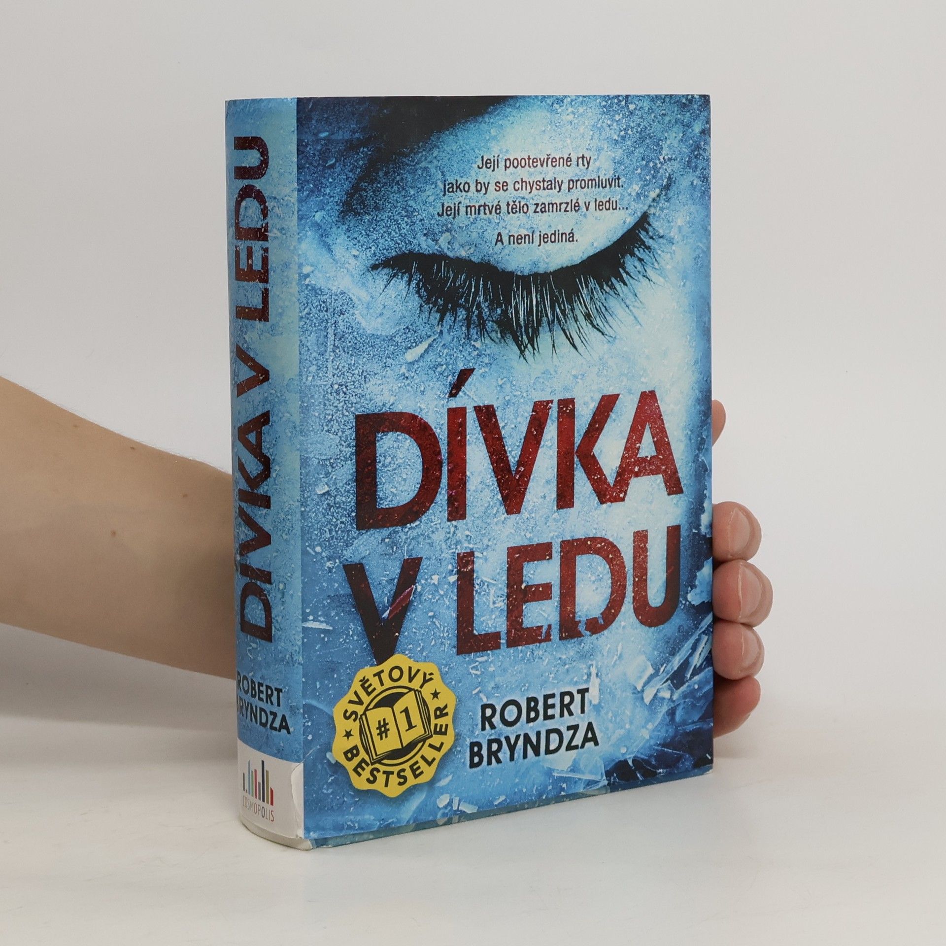 Robert Bryndza Dívka v ledu