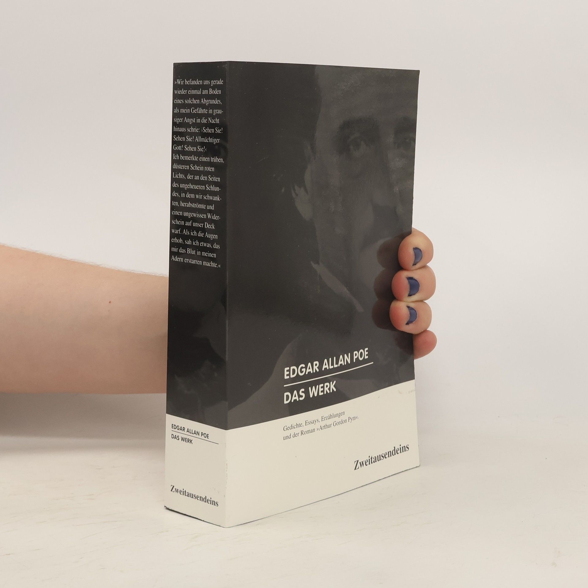 Edgar Allan Poe Das Werk. Gedichte, Essays, Erzählungen und der Roman „Arthur Gordon Pym“.