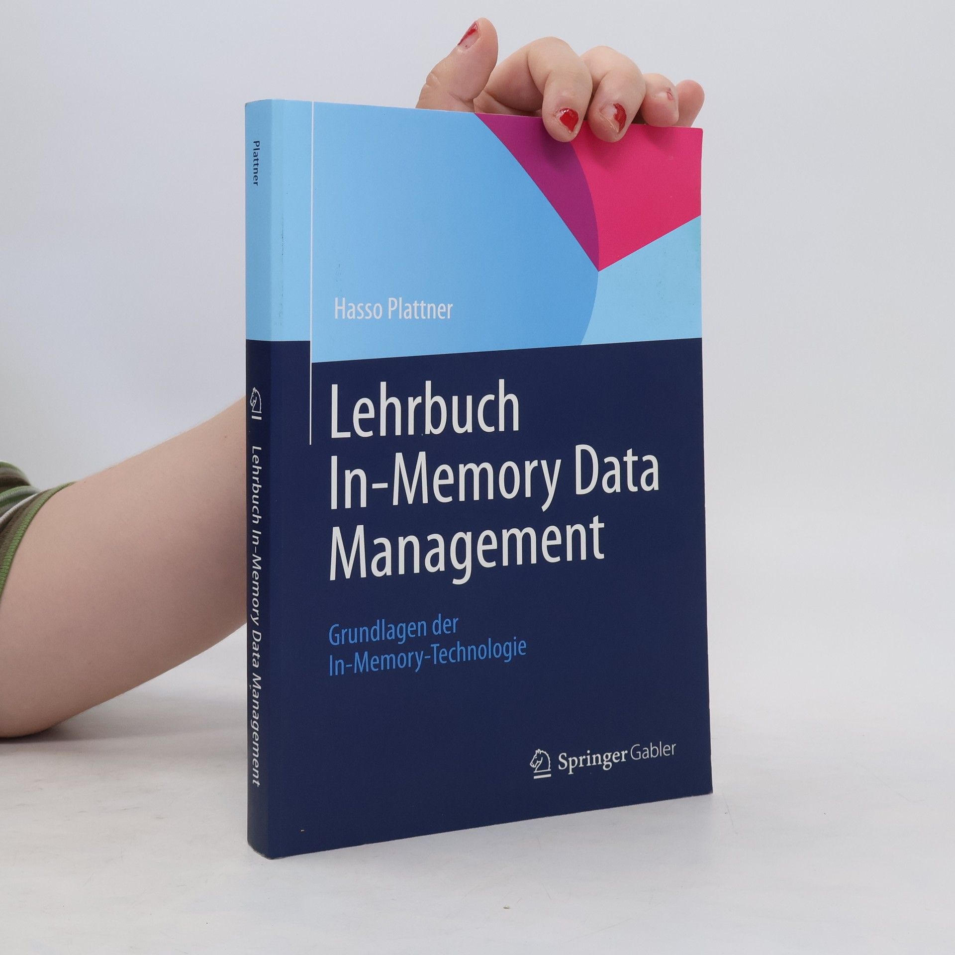 Hasso Plattner Lehrbuch In-Memory Data Management