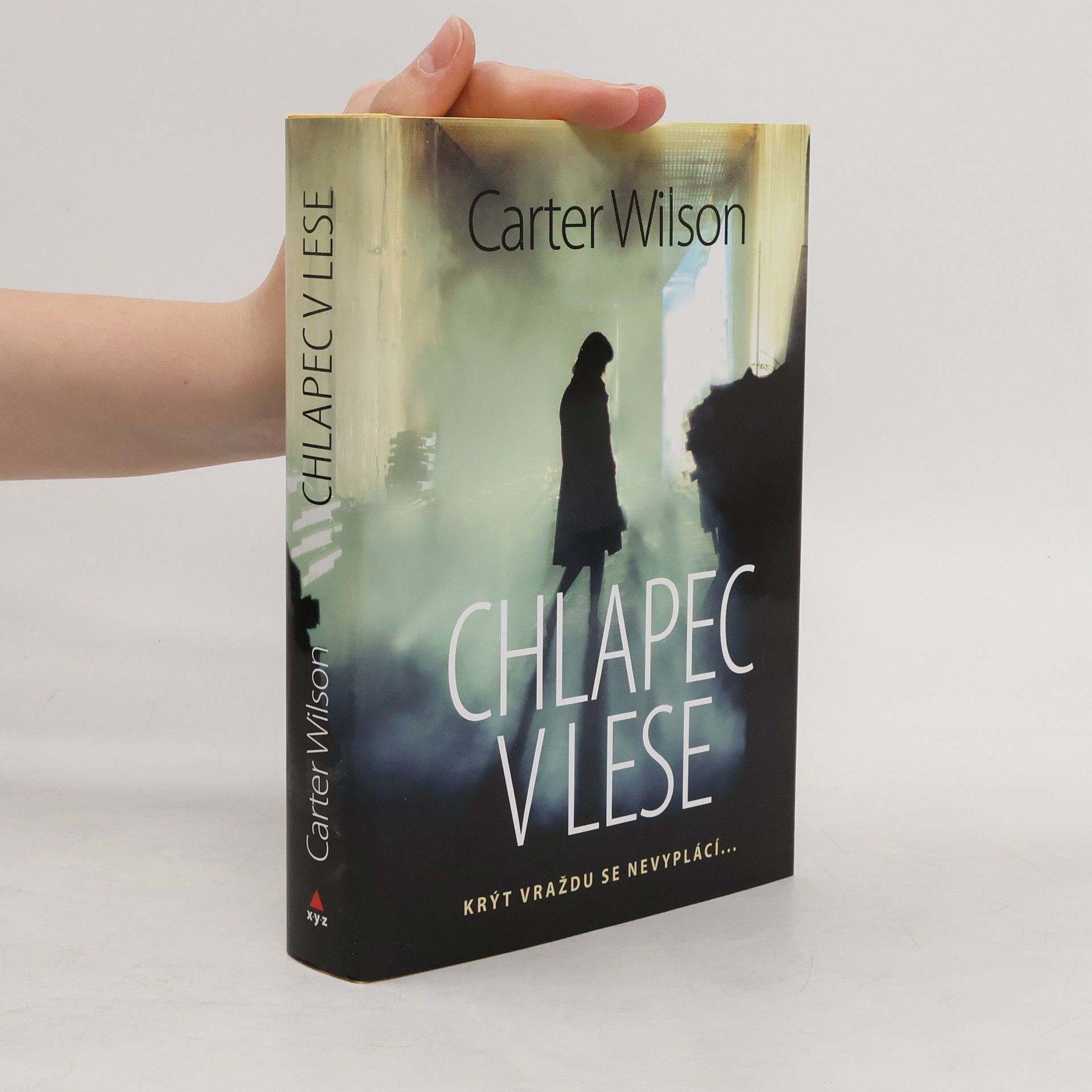 Carter Wilson Chlapec v lese : krýt vraždu se nevyplácí...