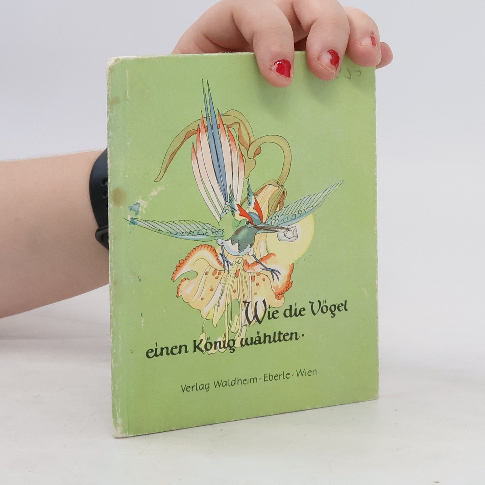 Autorenkollektiv Wie die Vögel einen König wählten