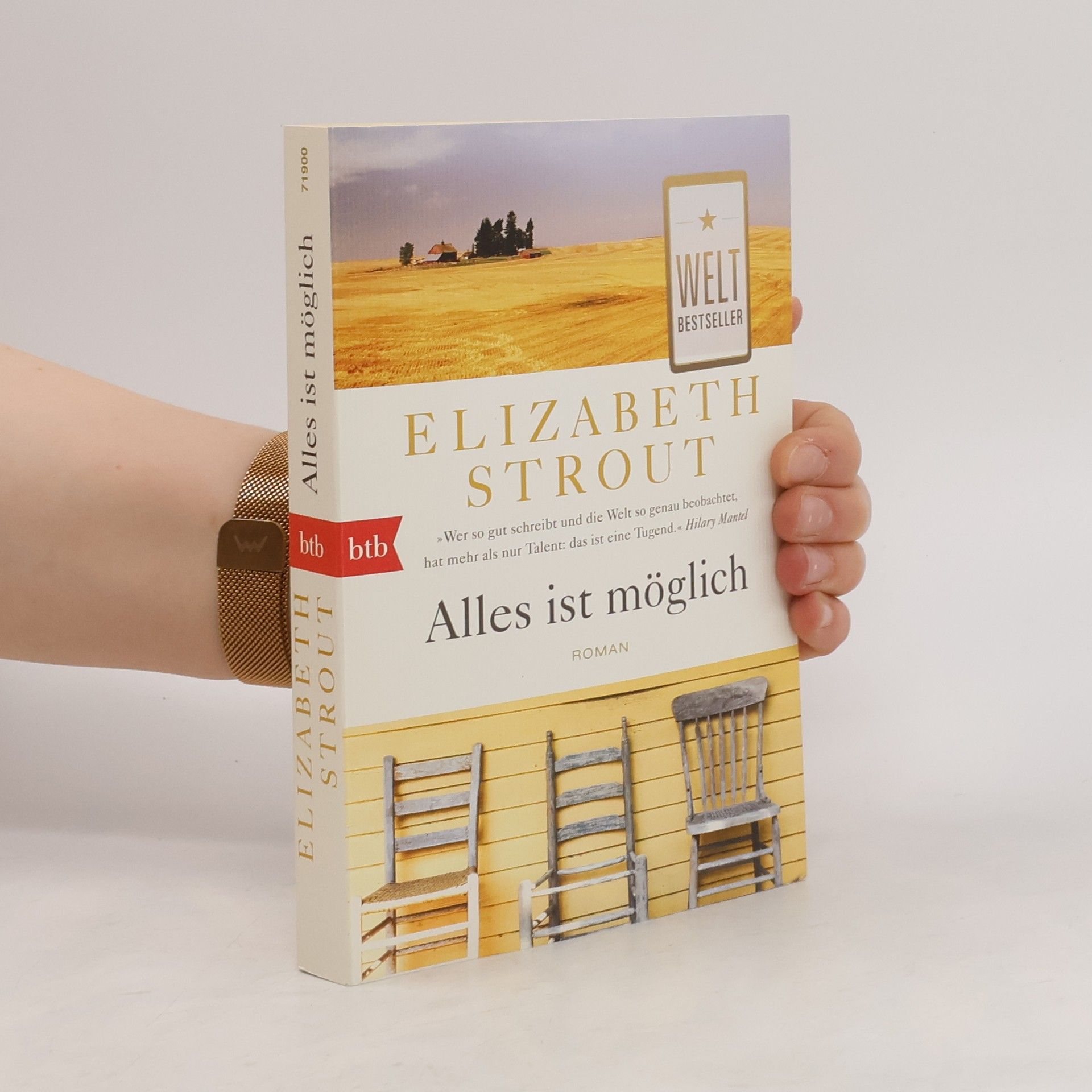 Elizabeth Strout Alles ist möglich