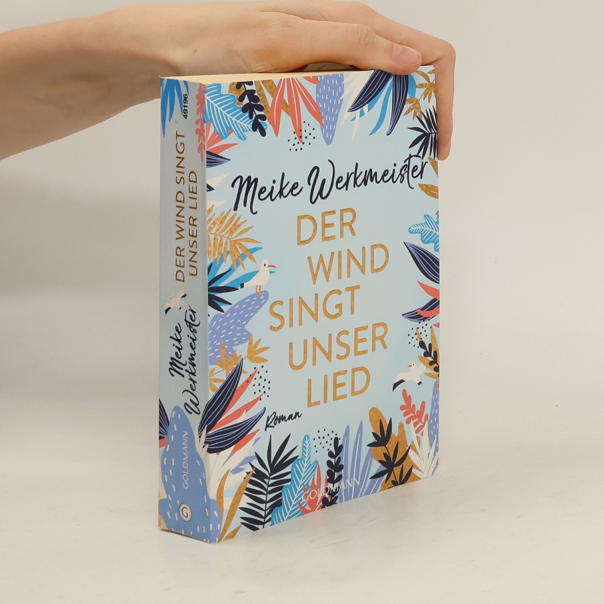 Meike Werkmeister Der Wind singt unser Lied