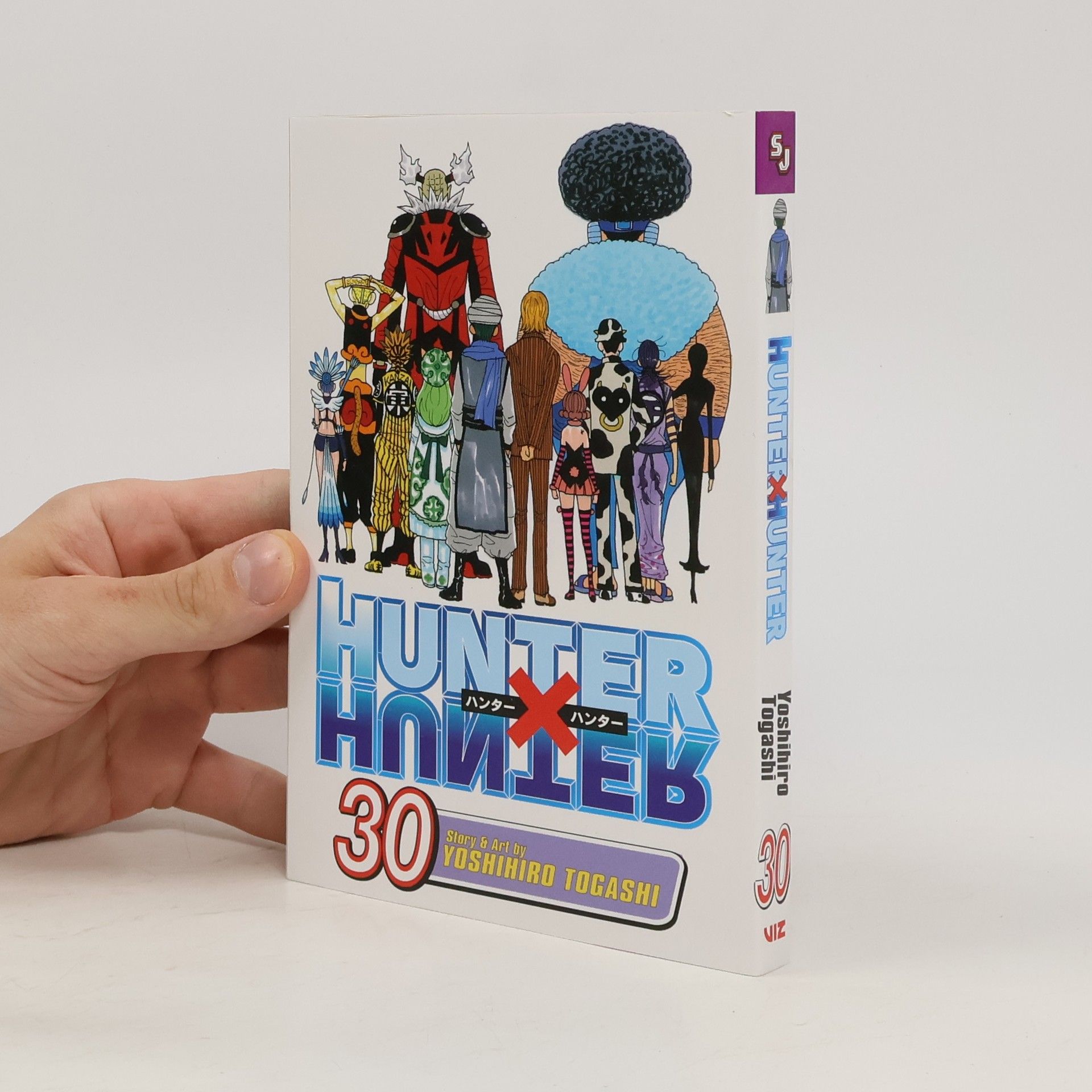 Yoshihiro Togashi Hunter x Hunter, Vol. 30