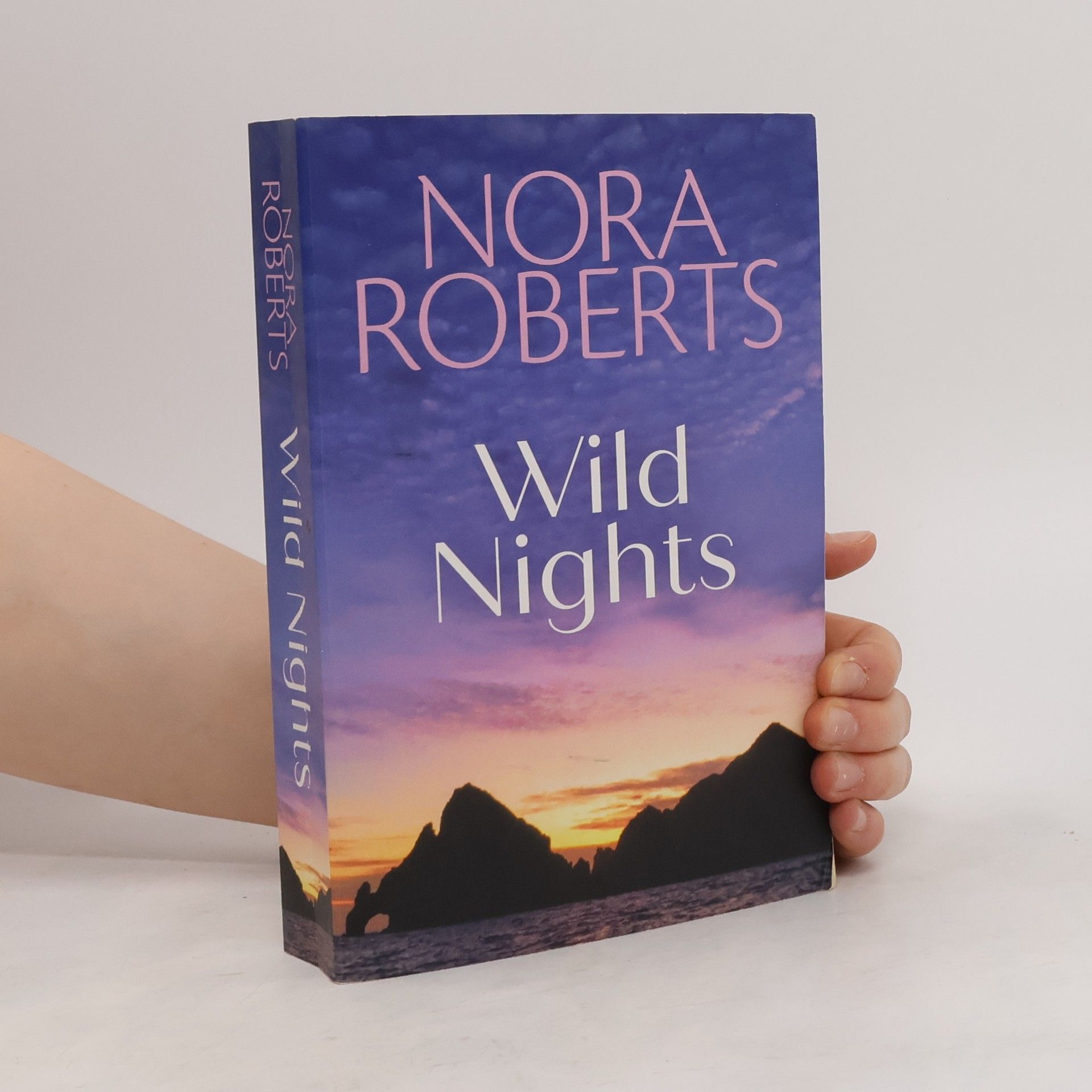 Nora Roberts Wild Nights