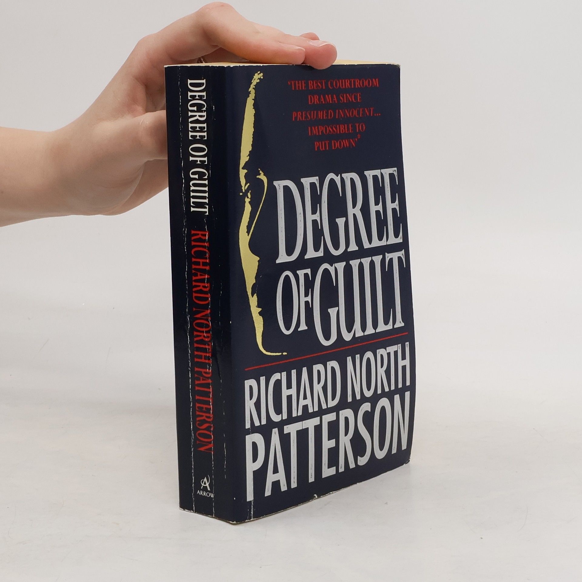 Richard North Patterson Degree of Guilt