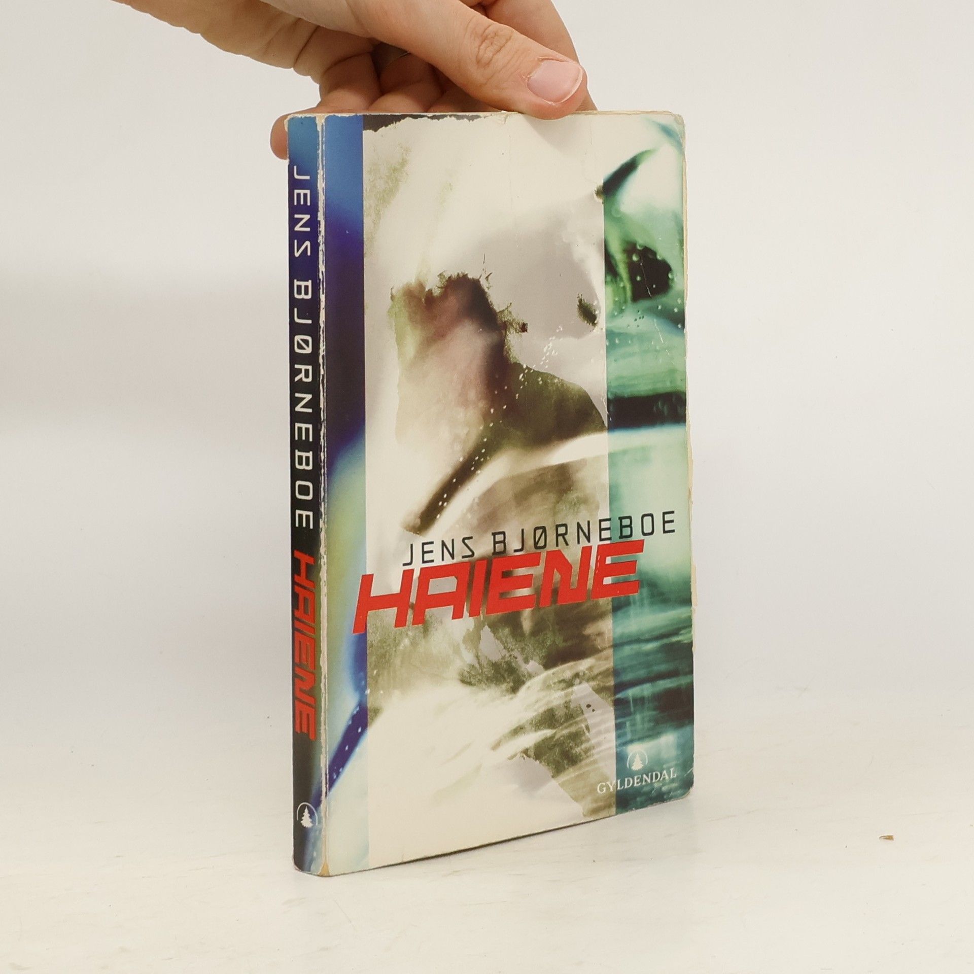 Jens Bjorneboe Haiene