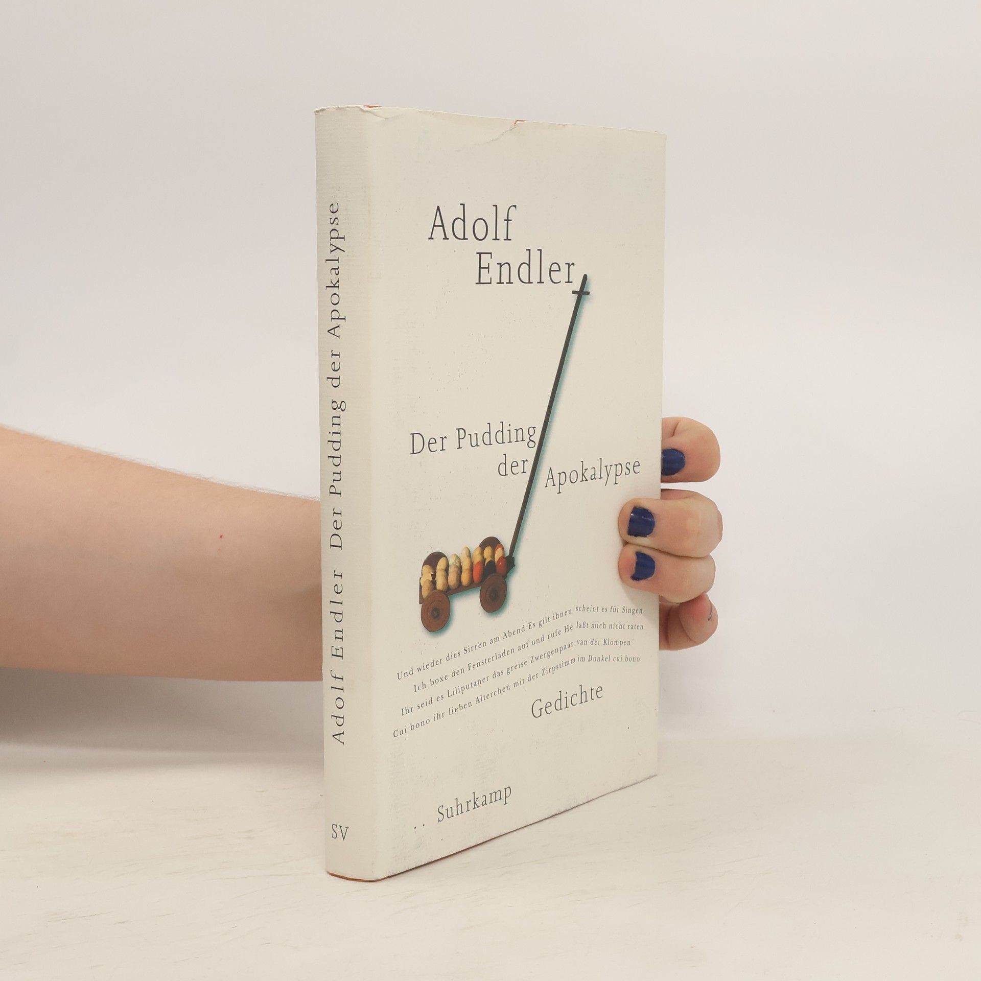 Adolf Endler Der Pudding der Apokalypse. Gedichte 1963–1998