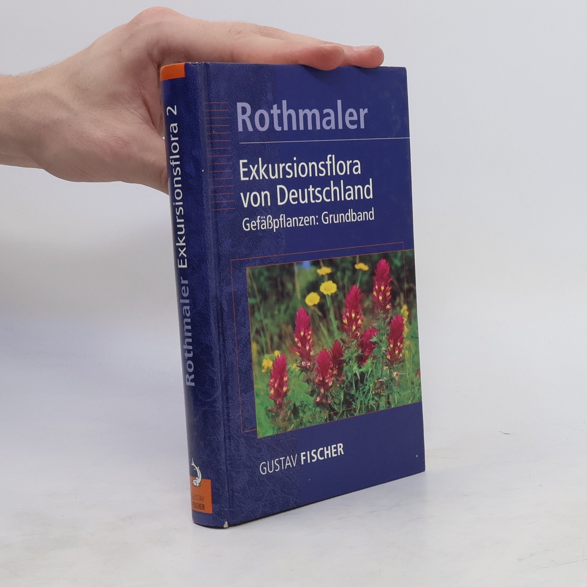 Autorenkollektiv Exkursionsflora von Deutschland 2