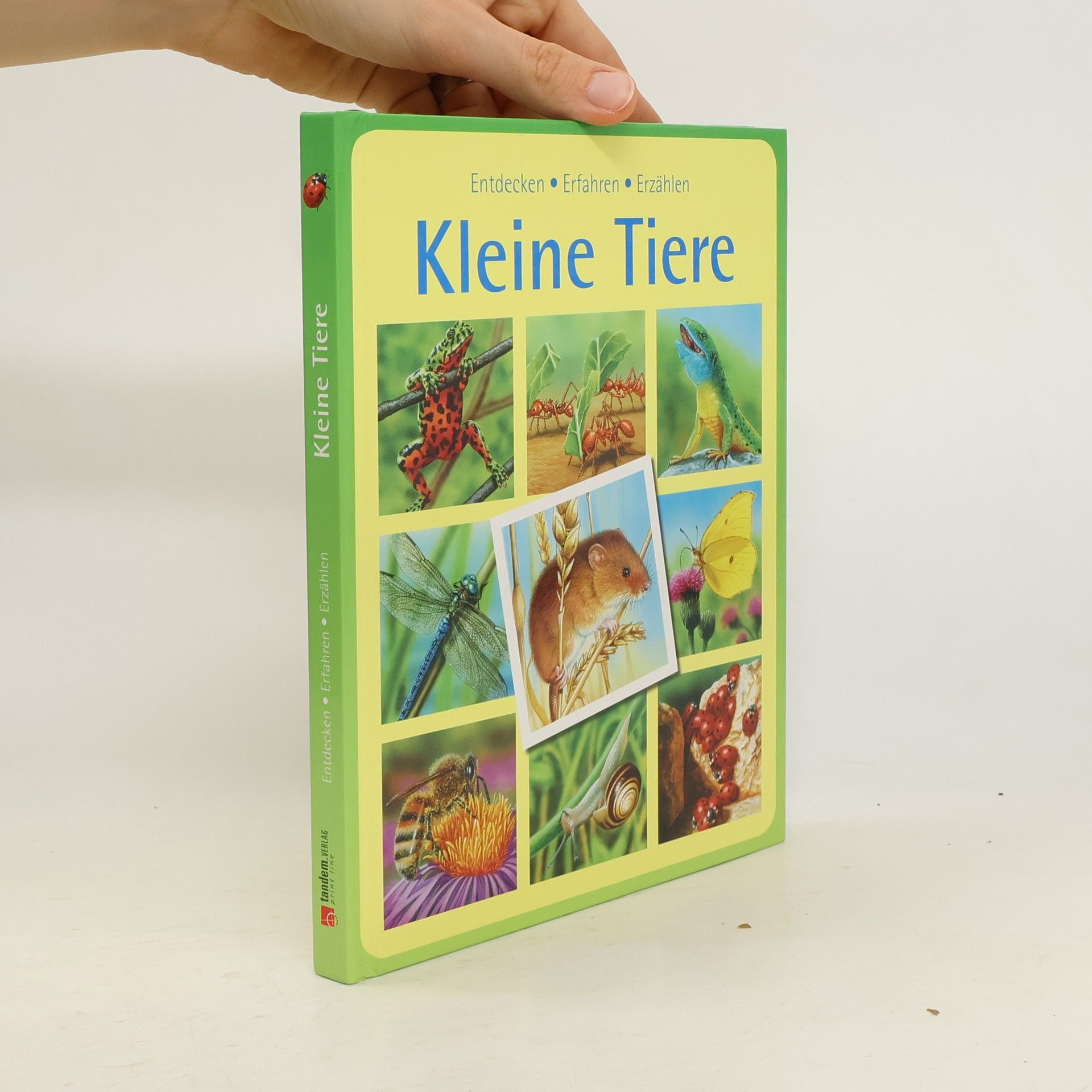 Émilie Beaumont Kleine Tiere