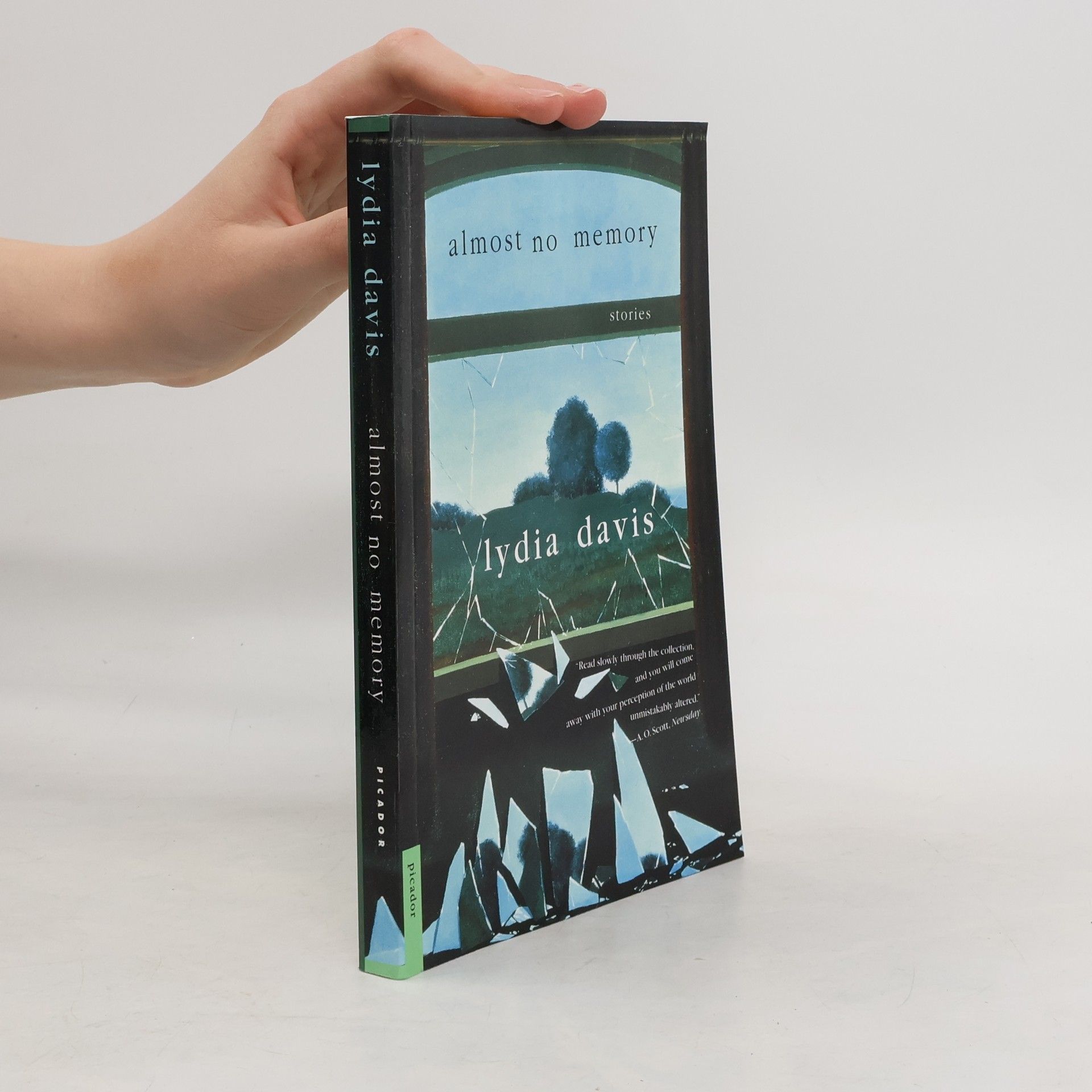 Lydia Davis Almost No Memory