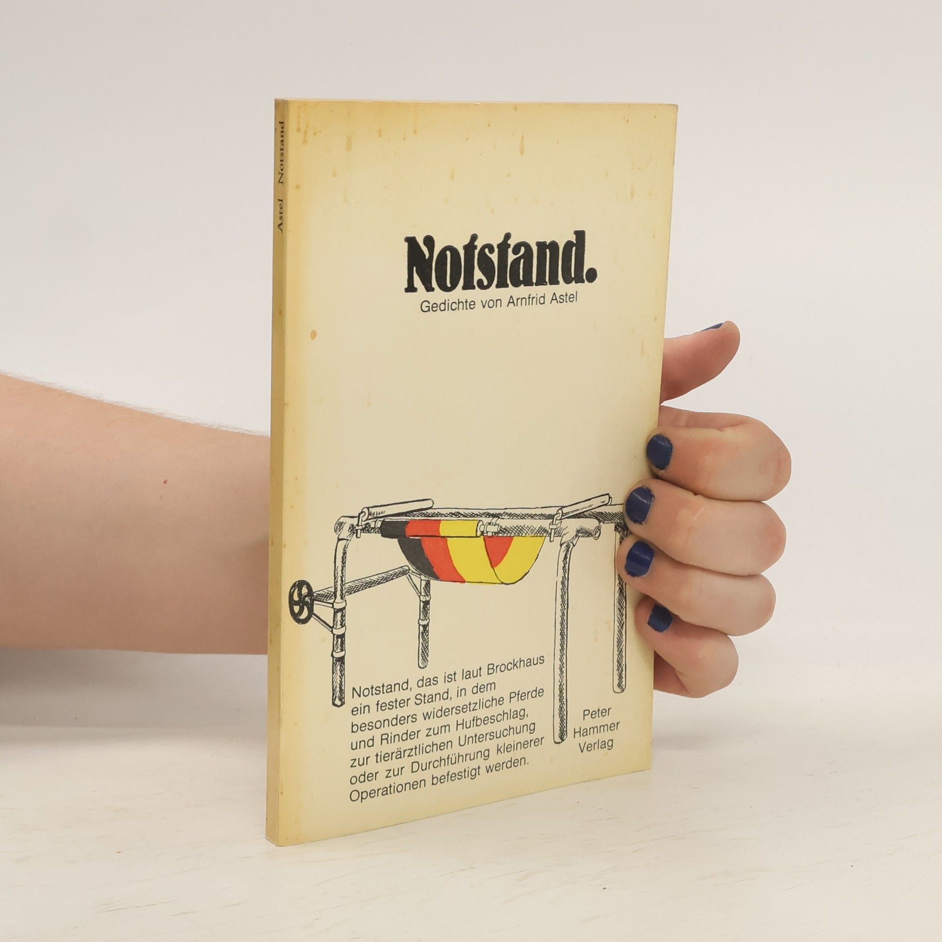 Arnfrid Astel Notstand