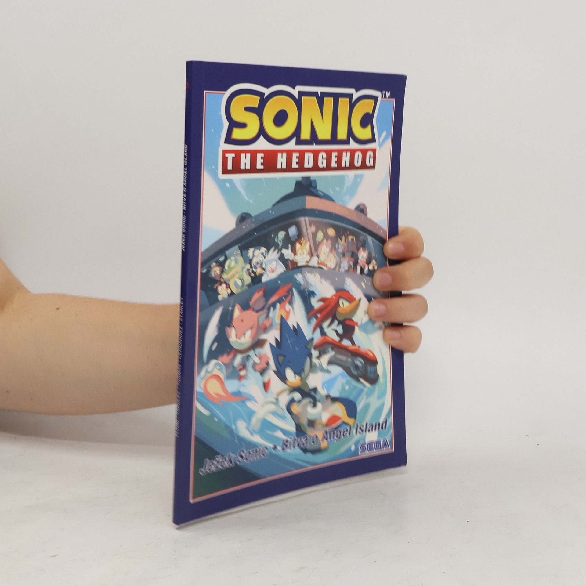 Peter DiCicco Ježek Sonic 3 - Bitva o Angel Island