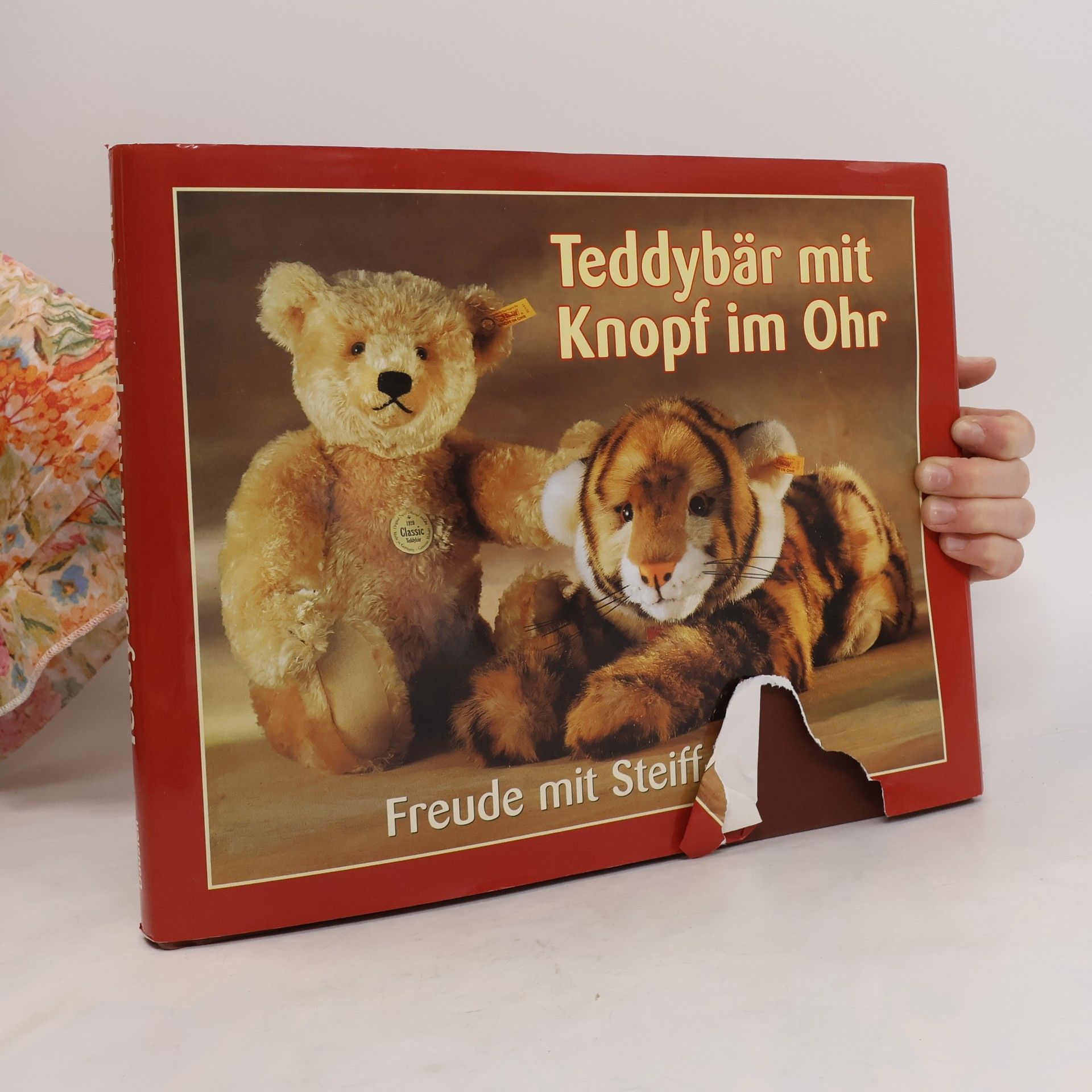 Walter Pfeiffer Teddybär mit Knopf im Ohr