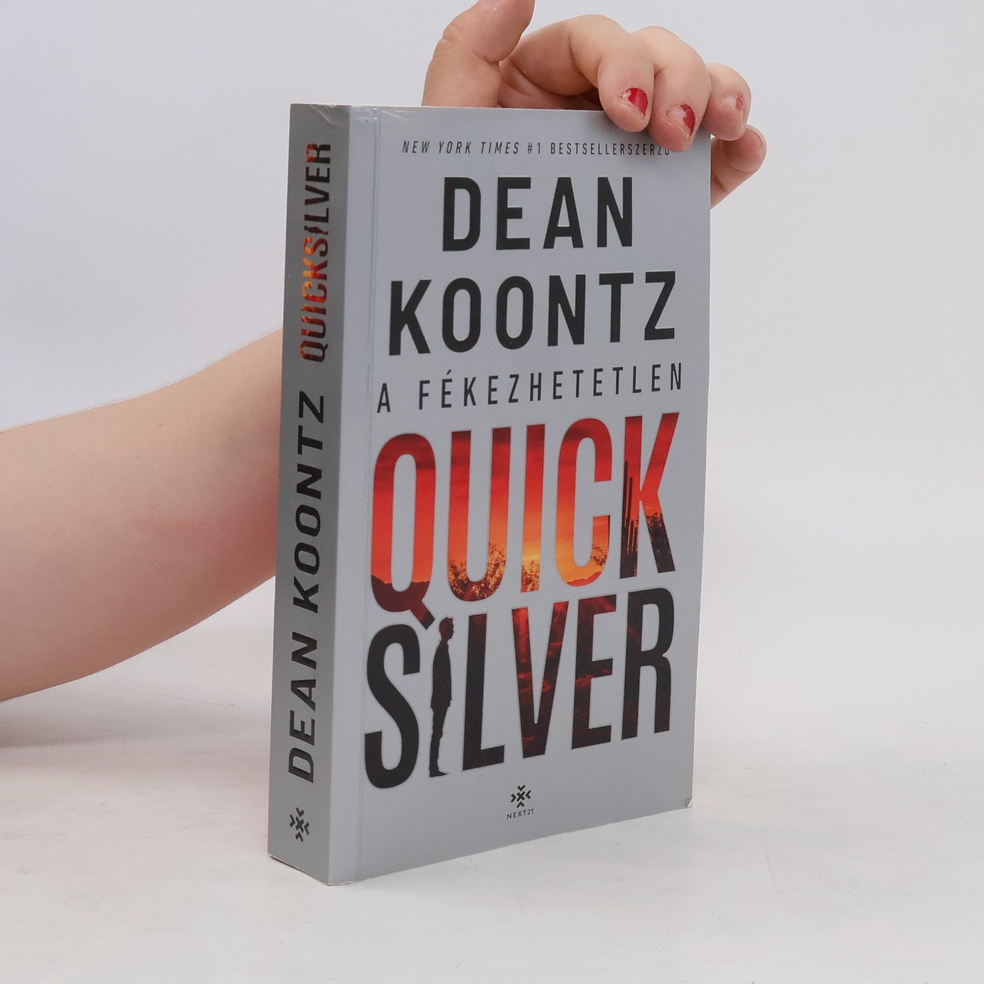 Dean R. Koontz Quick Silver