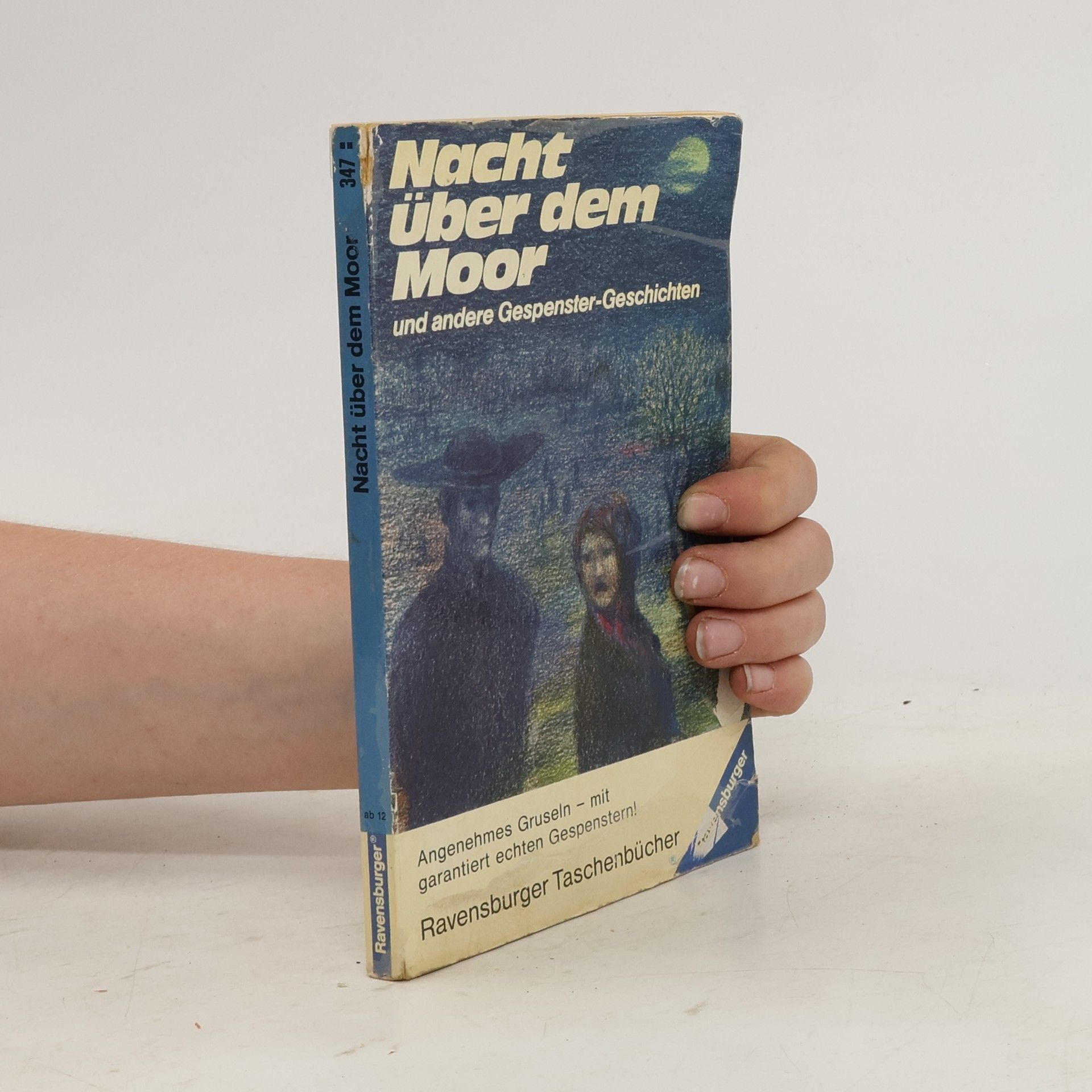 Hanna Bautze Nacht über dem Moor und andere Gespenstergeschichten