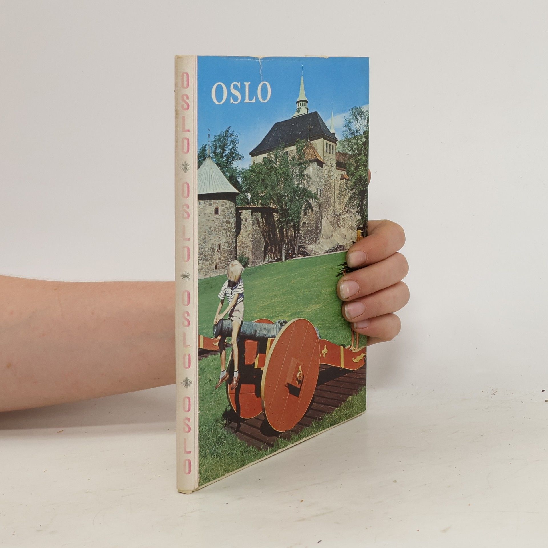 Collectif d'auteurs Oslo