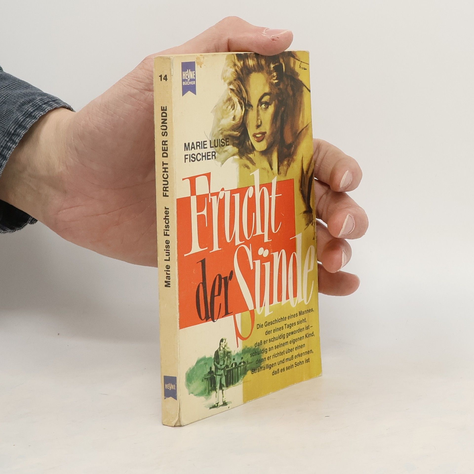 Marie Louise Fischer Frucht der Sünde. Roman