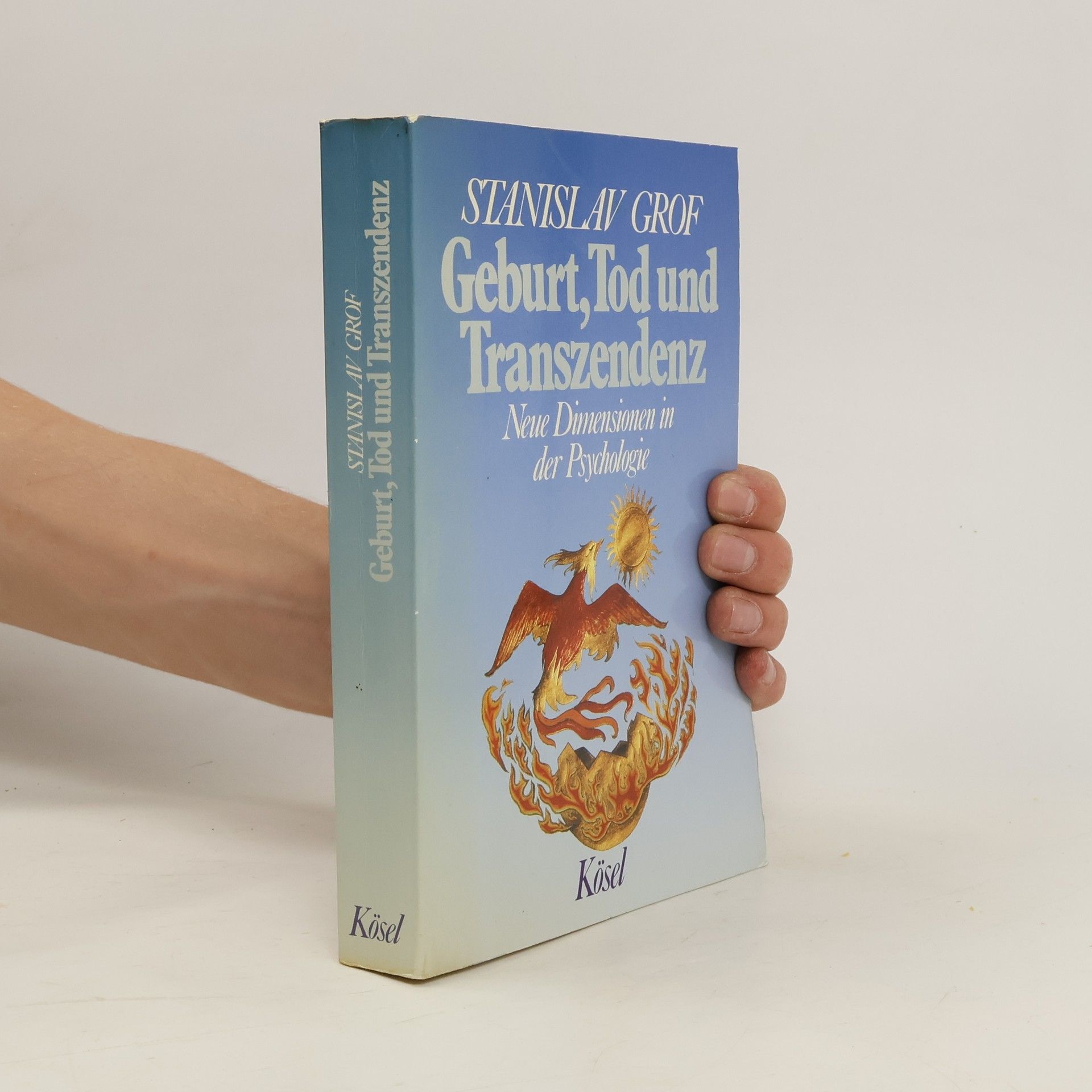 Stanislav Grof Geburt, Tod und Transzendenz