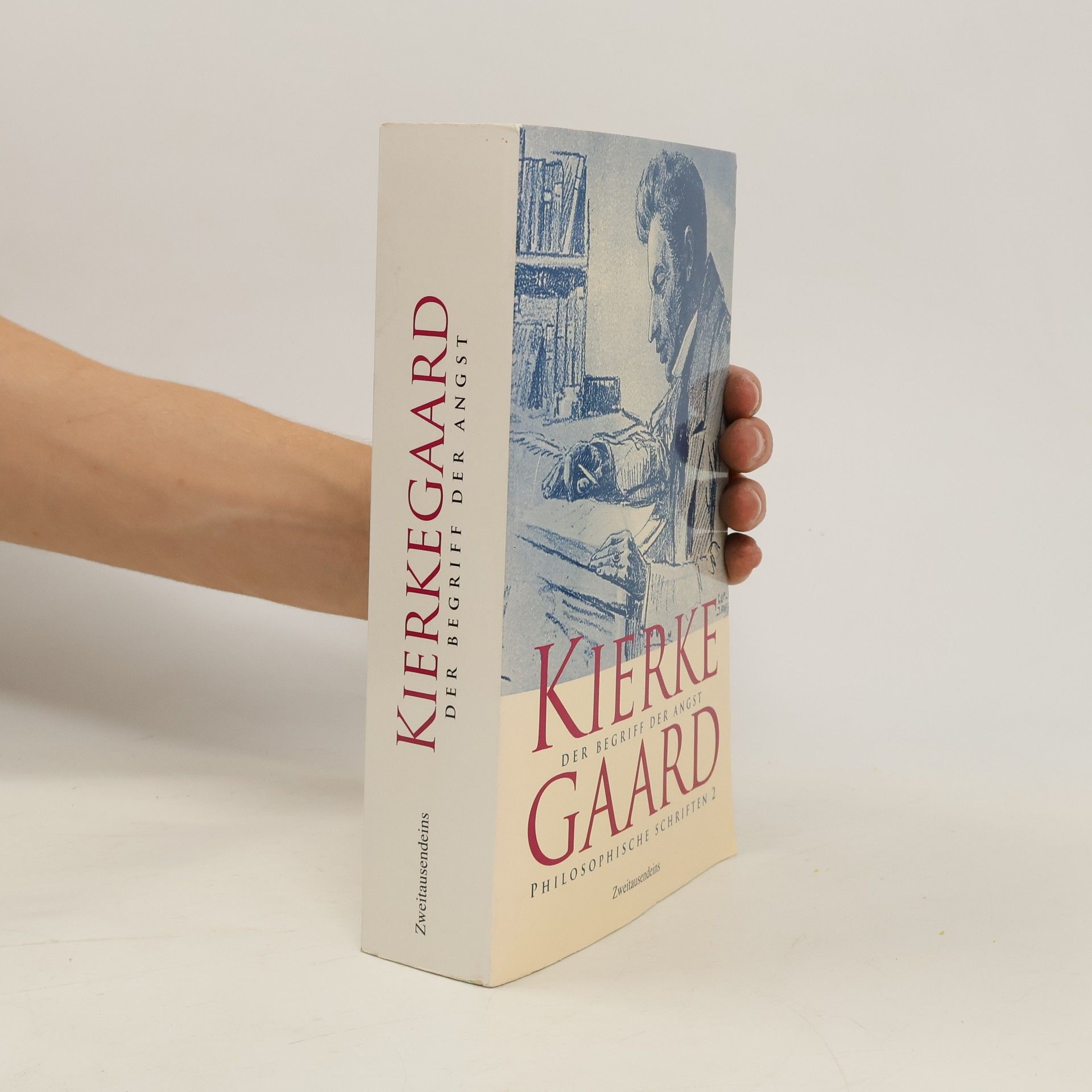 Søren Kierkegaard Philosophische Schriften 2