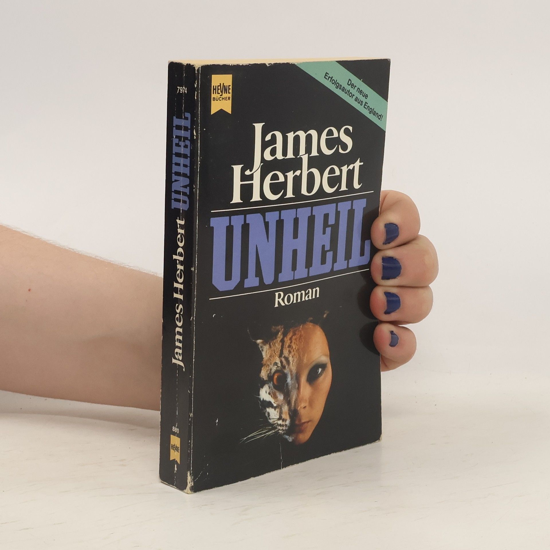 James Herbert Unheil