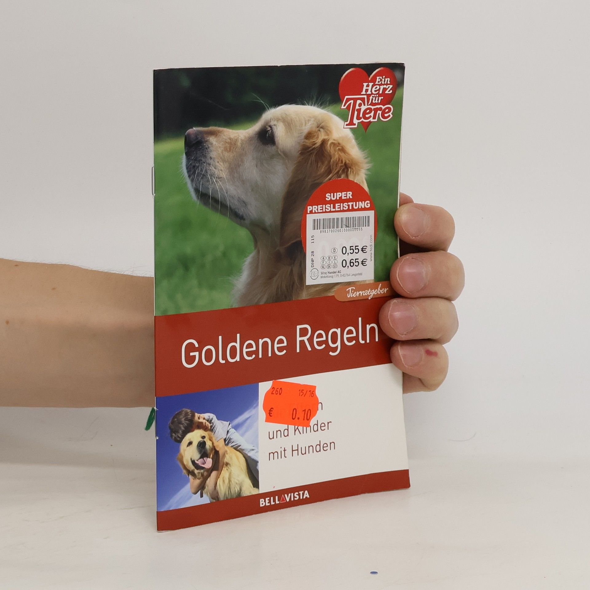 Ulrike Gerold Goldene Regeln für Eltern und Kinder mit Hunden