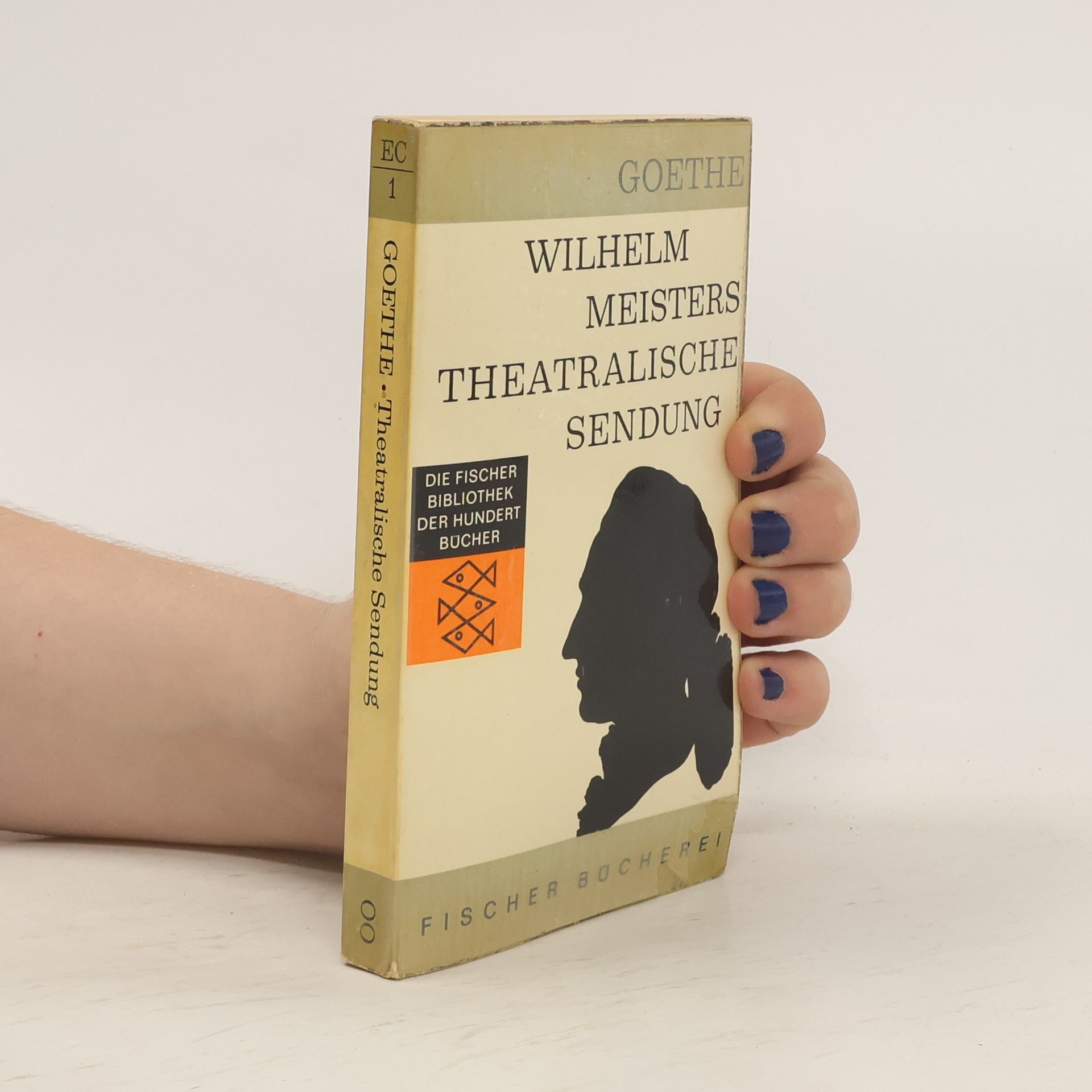 Johann Wolfgang von Goethe Wilhelm Meisters Theatralische Sendung