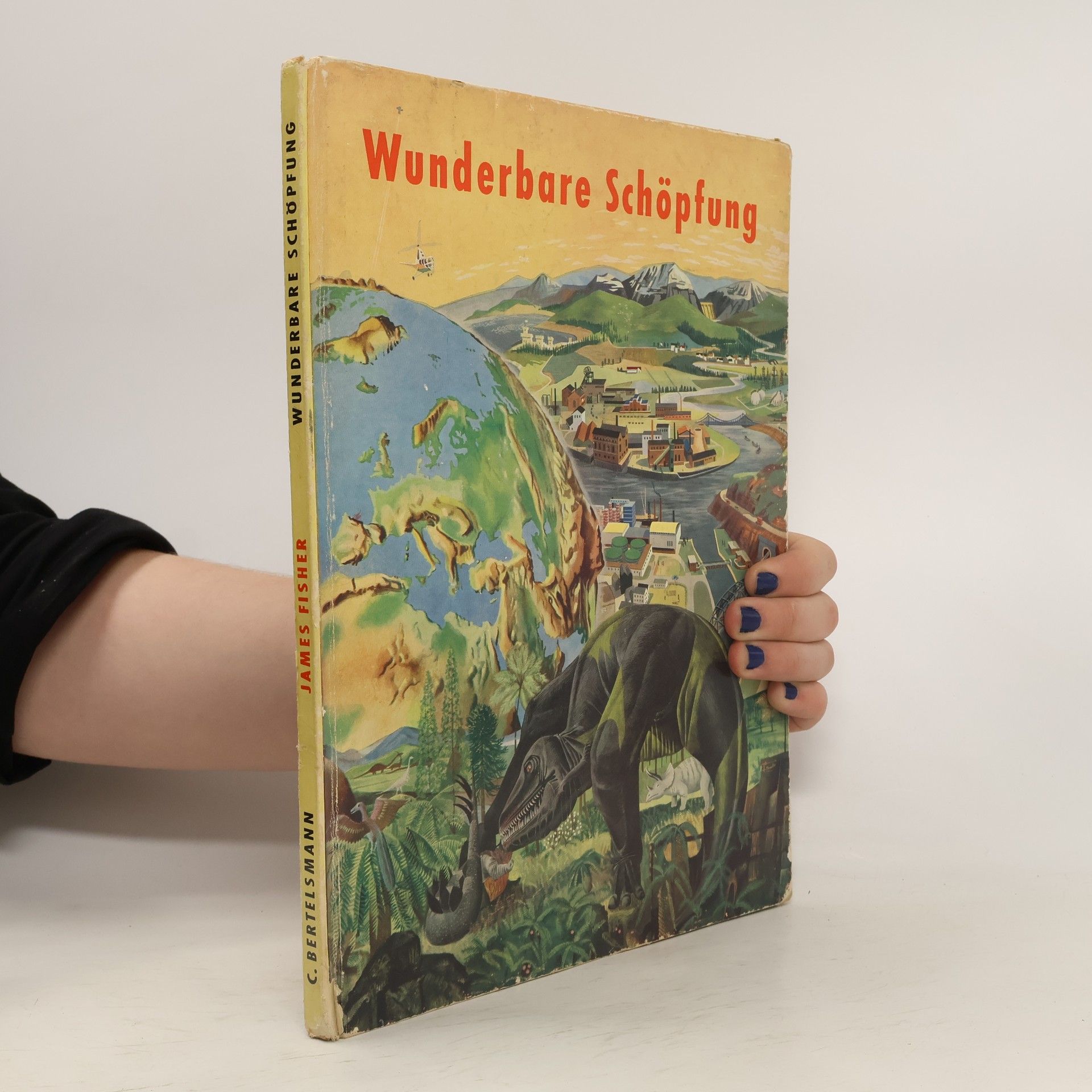 kolektiv Wunderbare Schöpfung