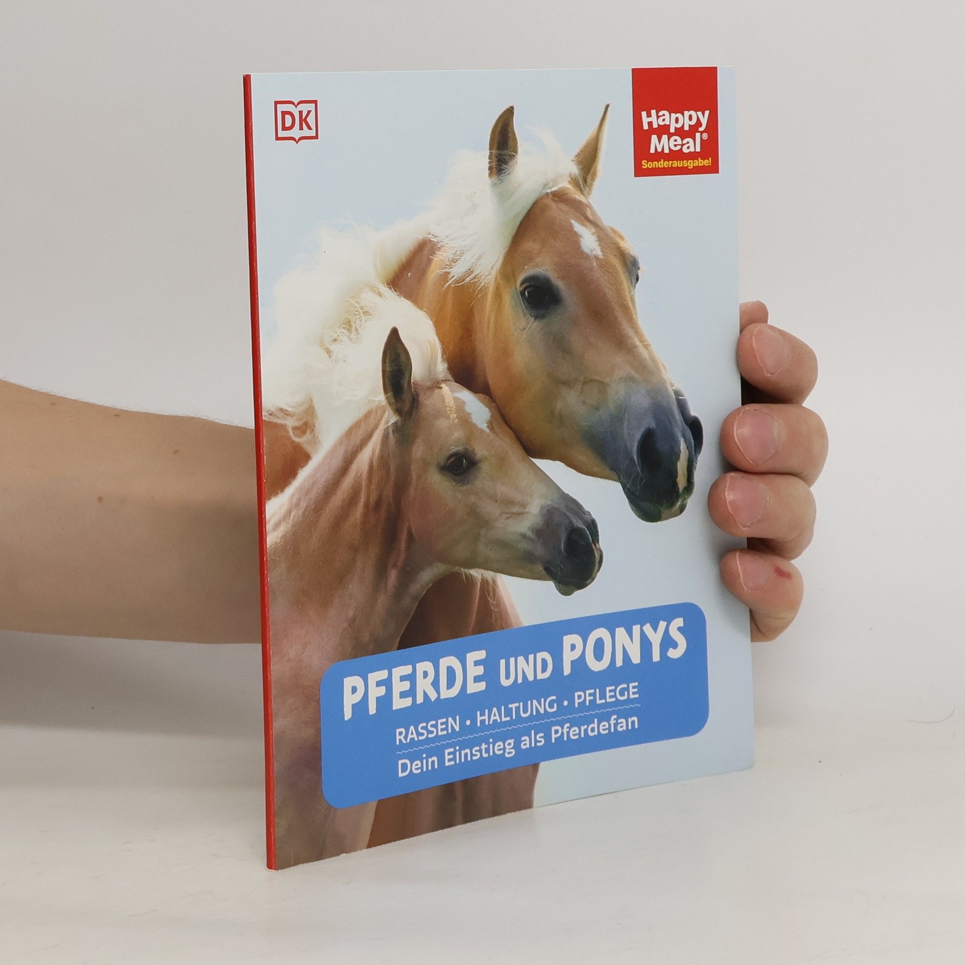 Bettina Borst Pferde und Ponys
