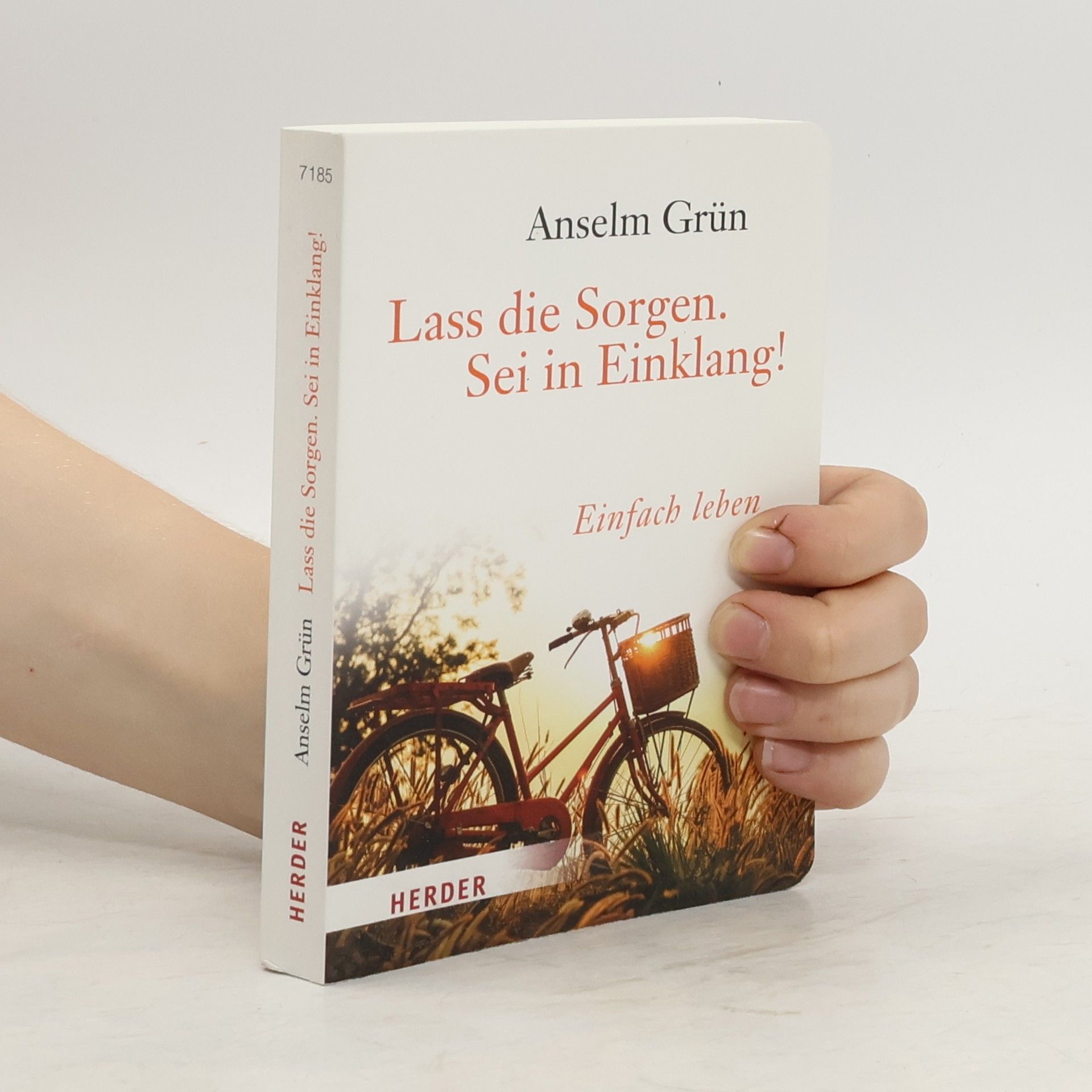 Anselm Grün Lass die Sorgen. Sei in Einklang!