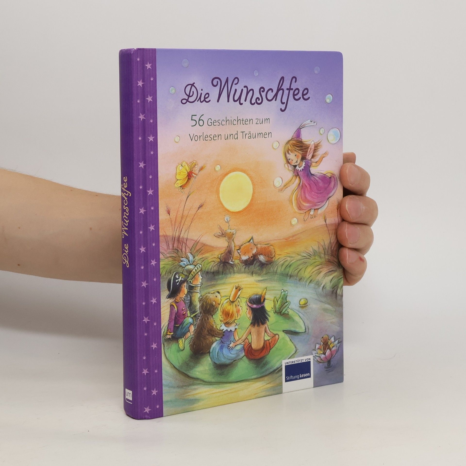 Collective Die Wunschfee. 56 Geschichten zum Vorlesen und Träumen