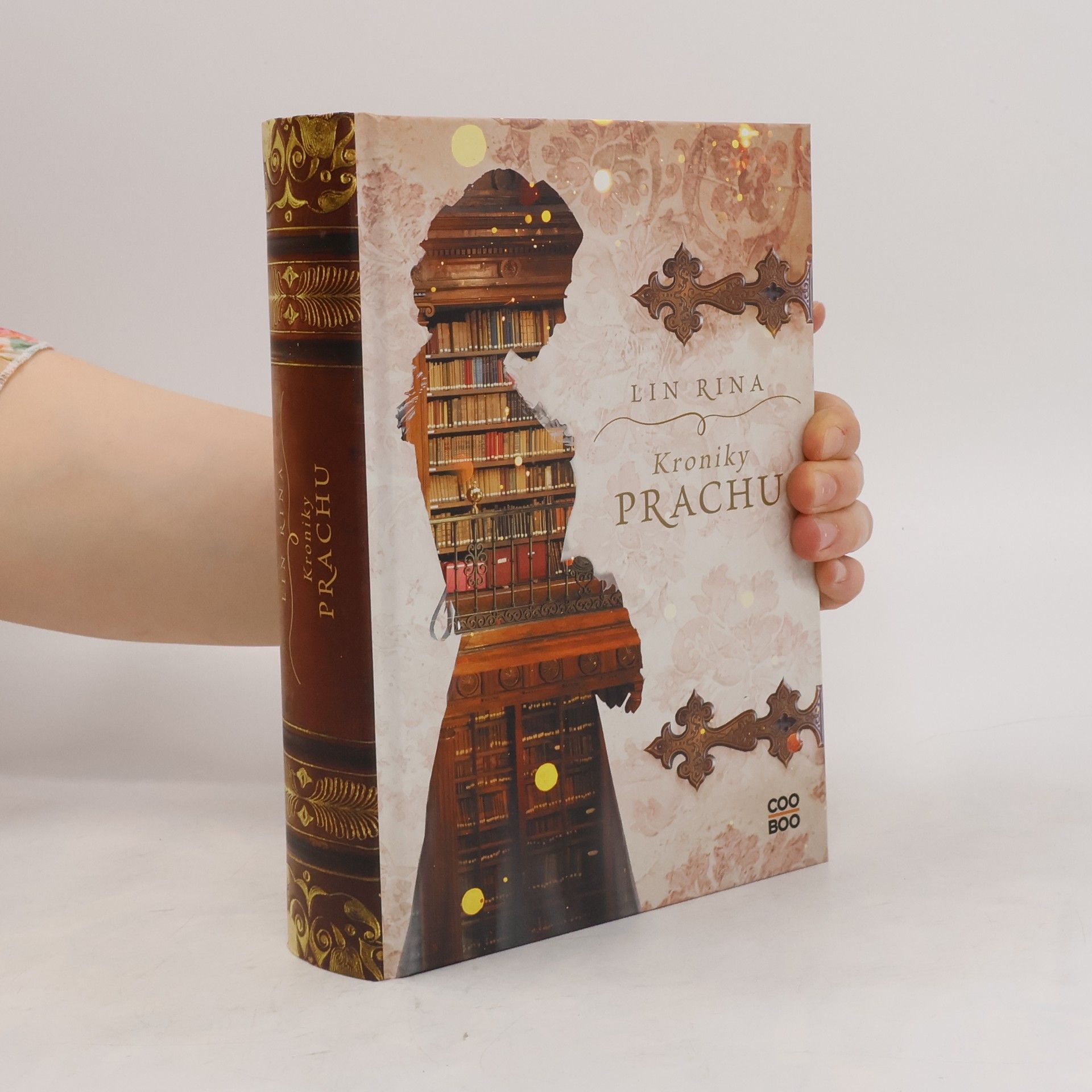 Lin Rina Kroniky prachu