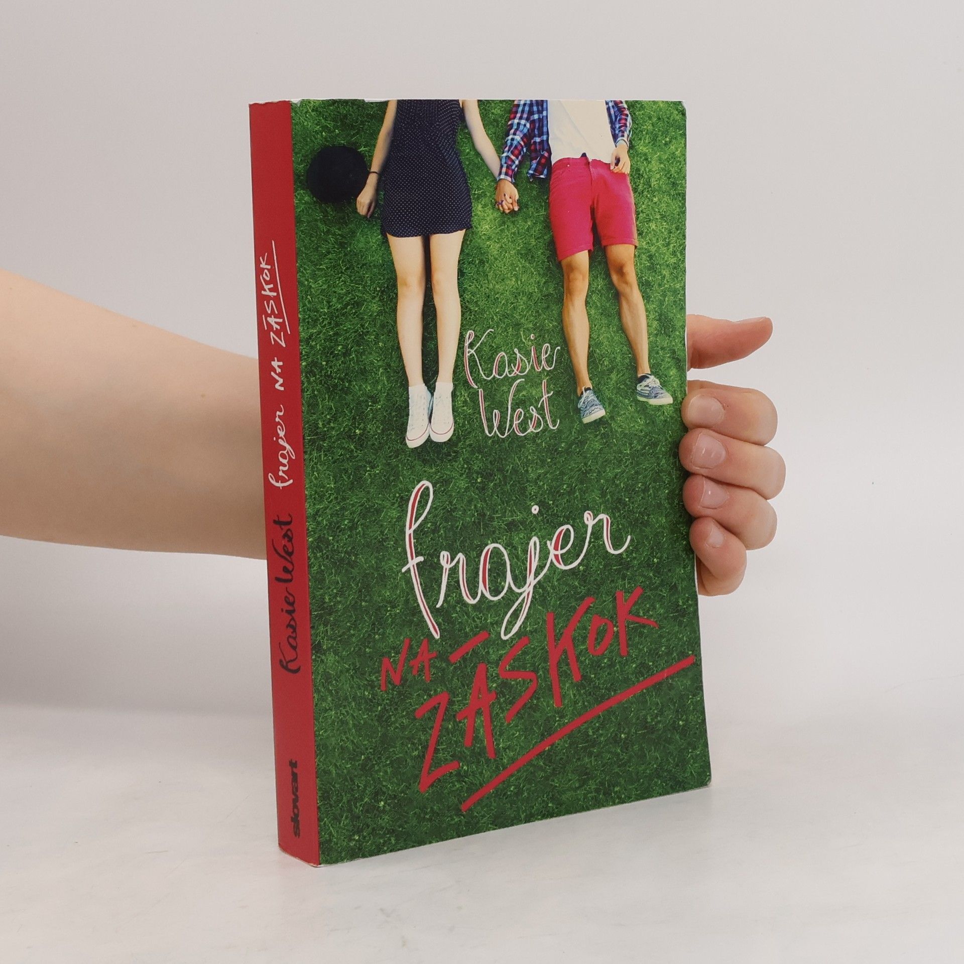 Kasie West Frajer na záskok